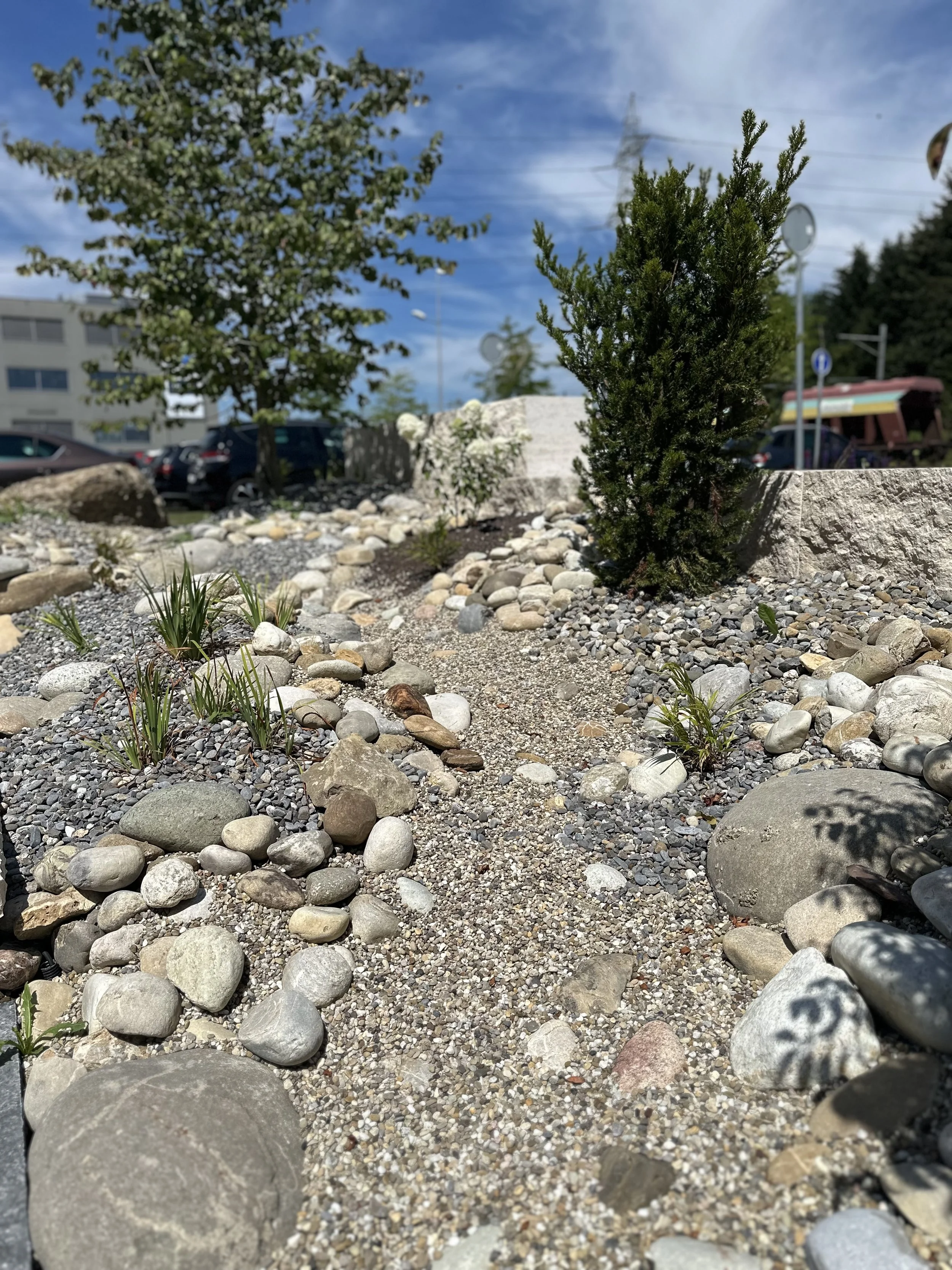 2024-08-09 13.13.33.jpg