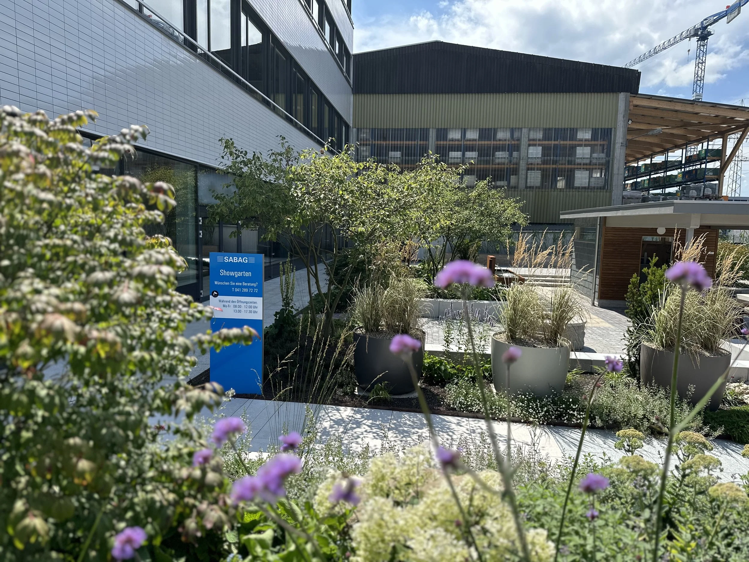 2024-08-09 14.11.45.jpg