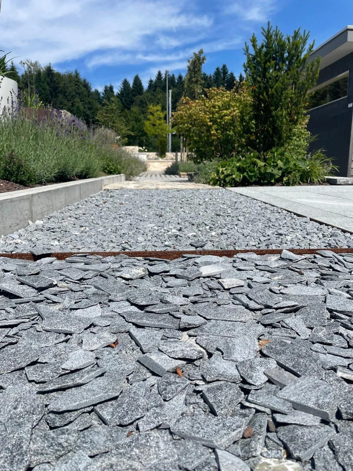 WhatsApp Image 2024-08-09 at 14.07.31 (1).jpeg