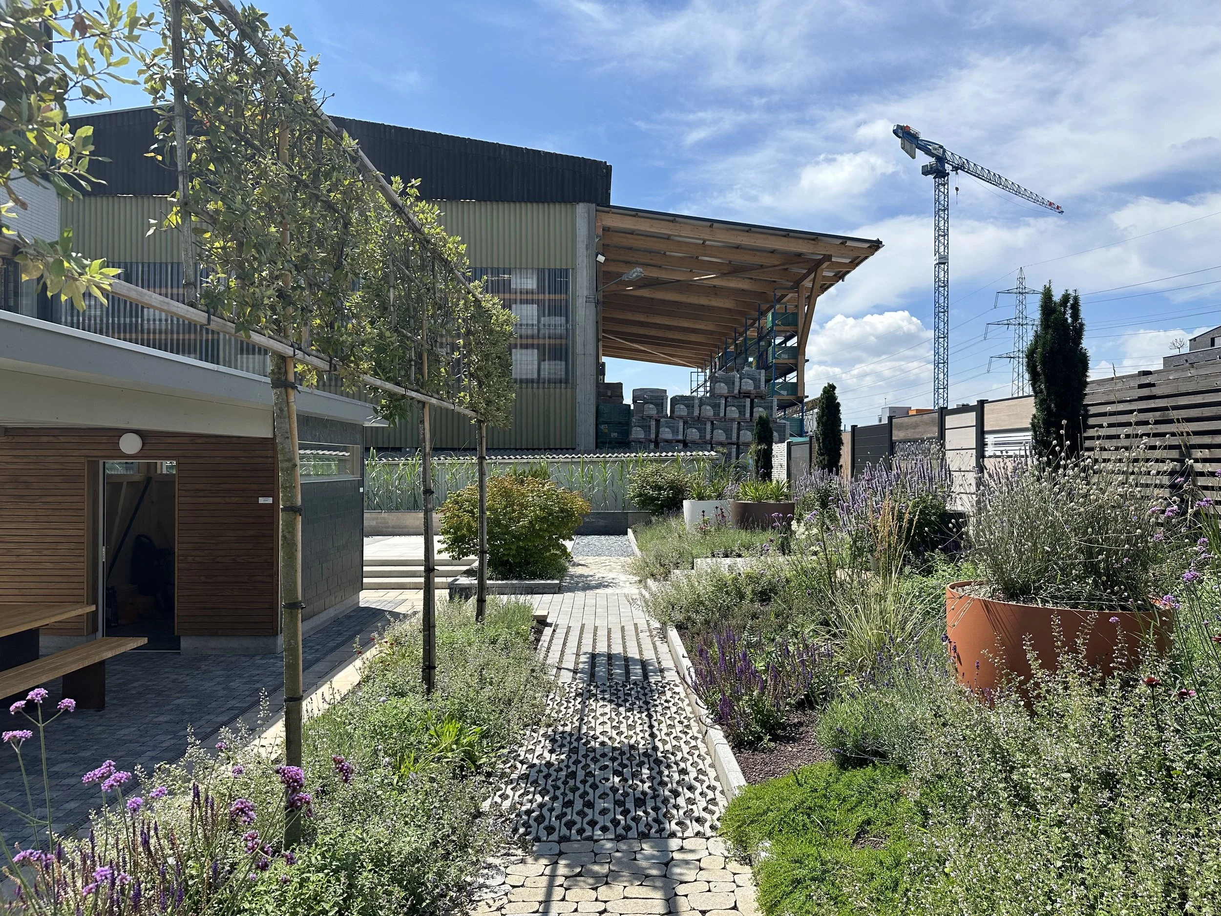 2024-08-09 13.13.24.jpg