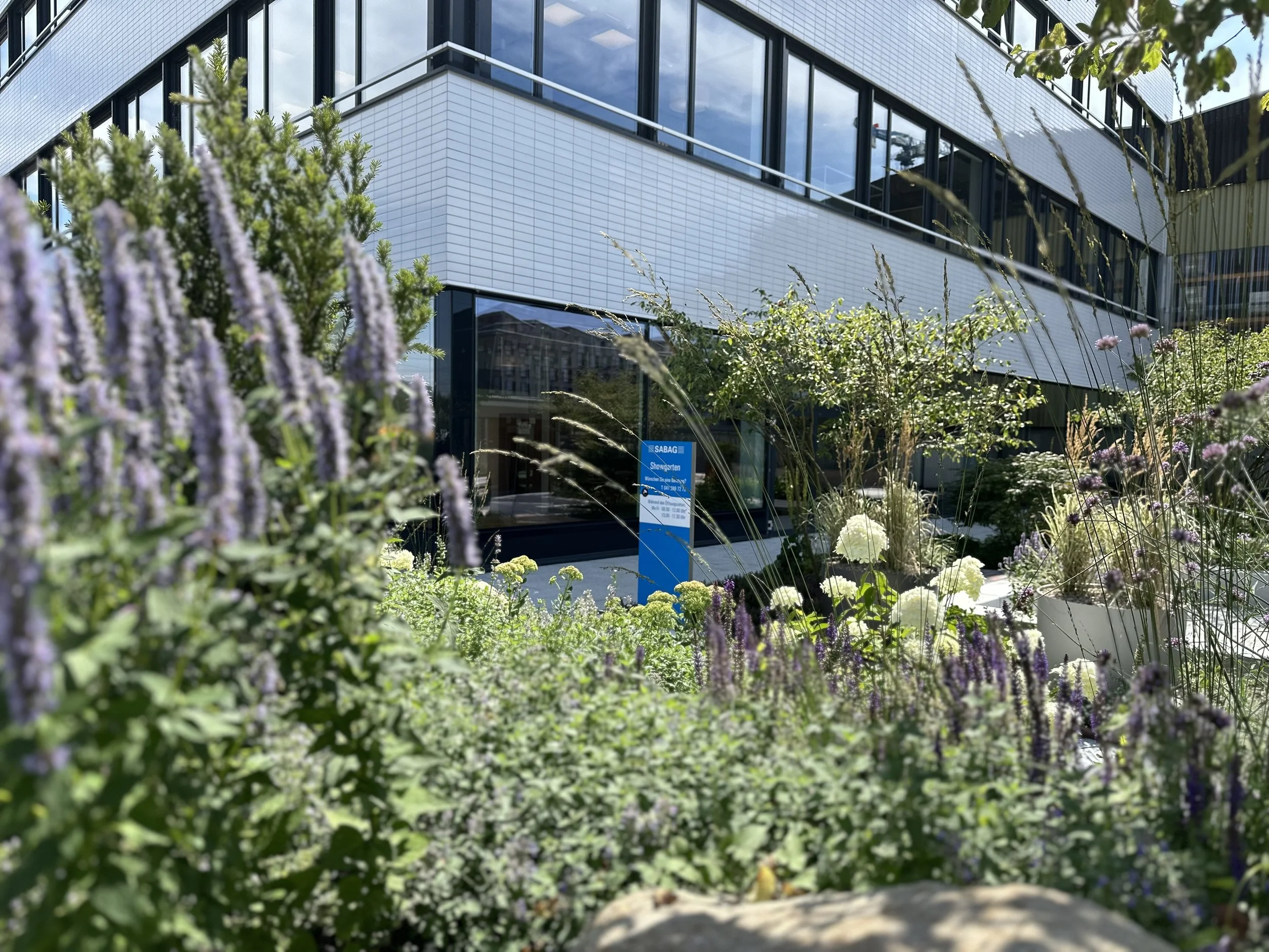 2024-08-09 14.12.00.jpg