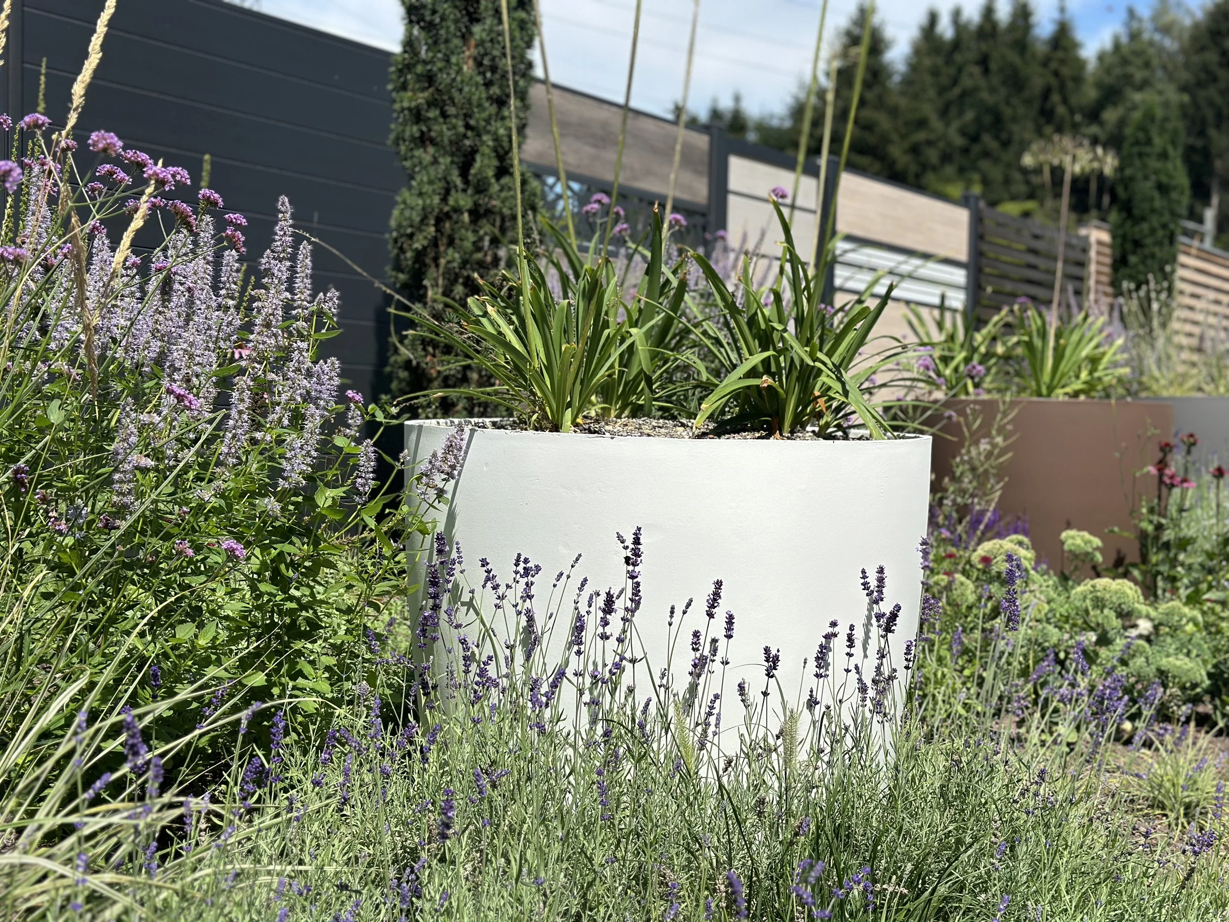 2024-08-09 13.10.55.jpg