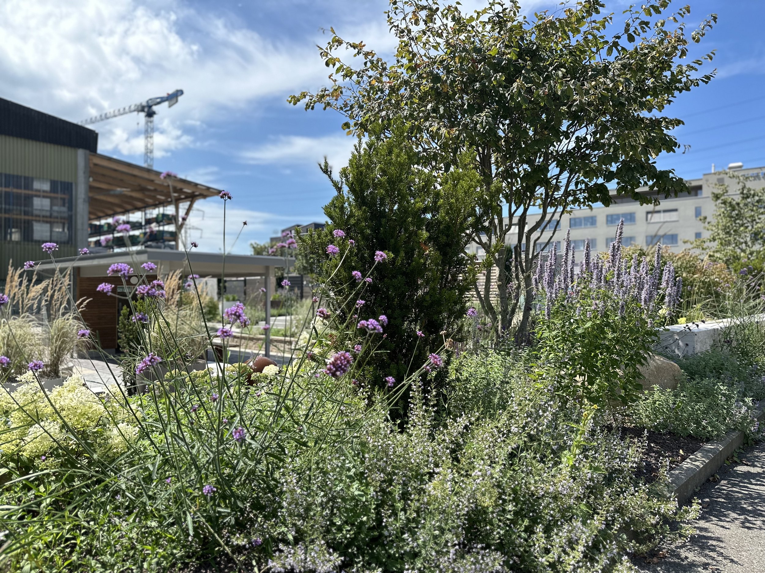 2024-08-09 14.11.38.jpg