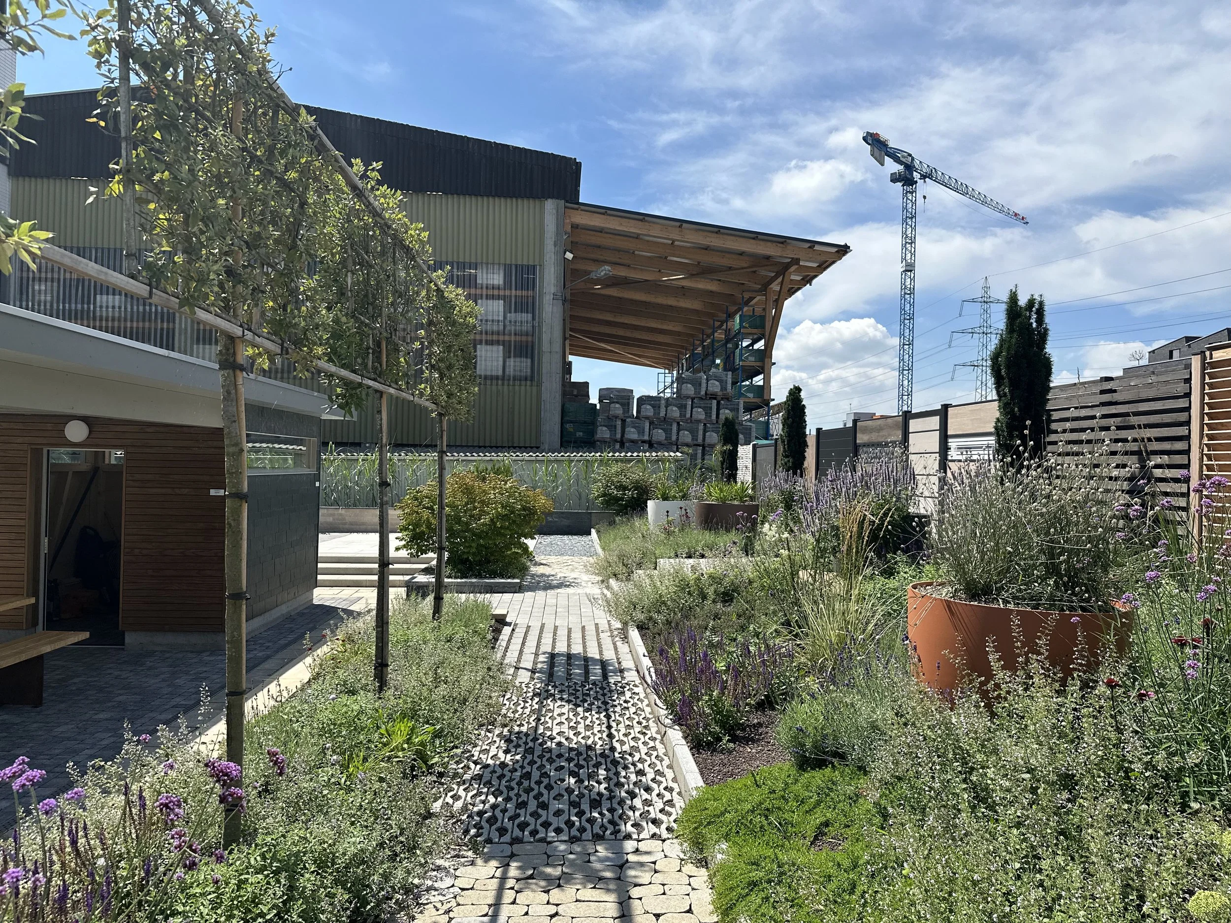 2024-08-09 13.13.21.jpg