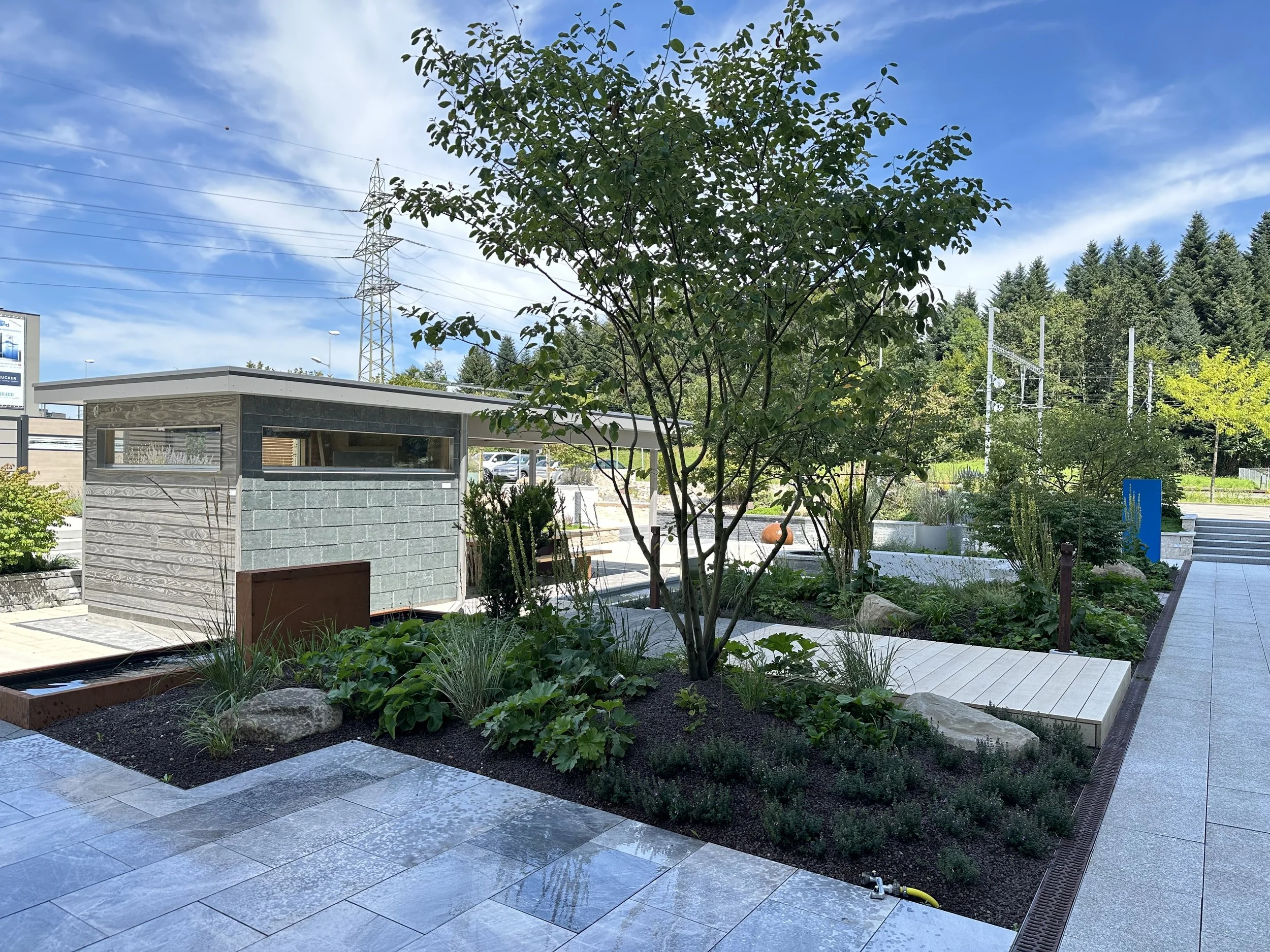 2024-08-09 13.09.35.jpg