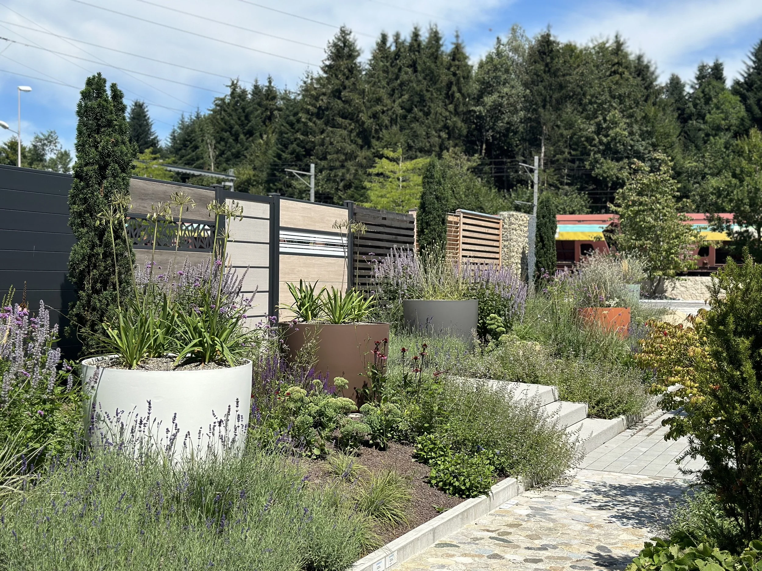 2024-08-09 13.11.23.jpg