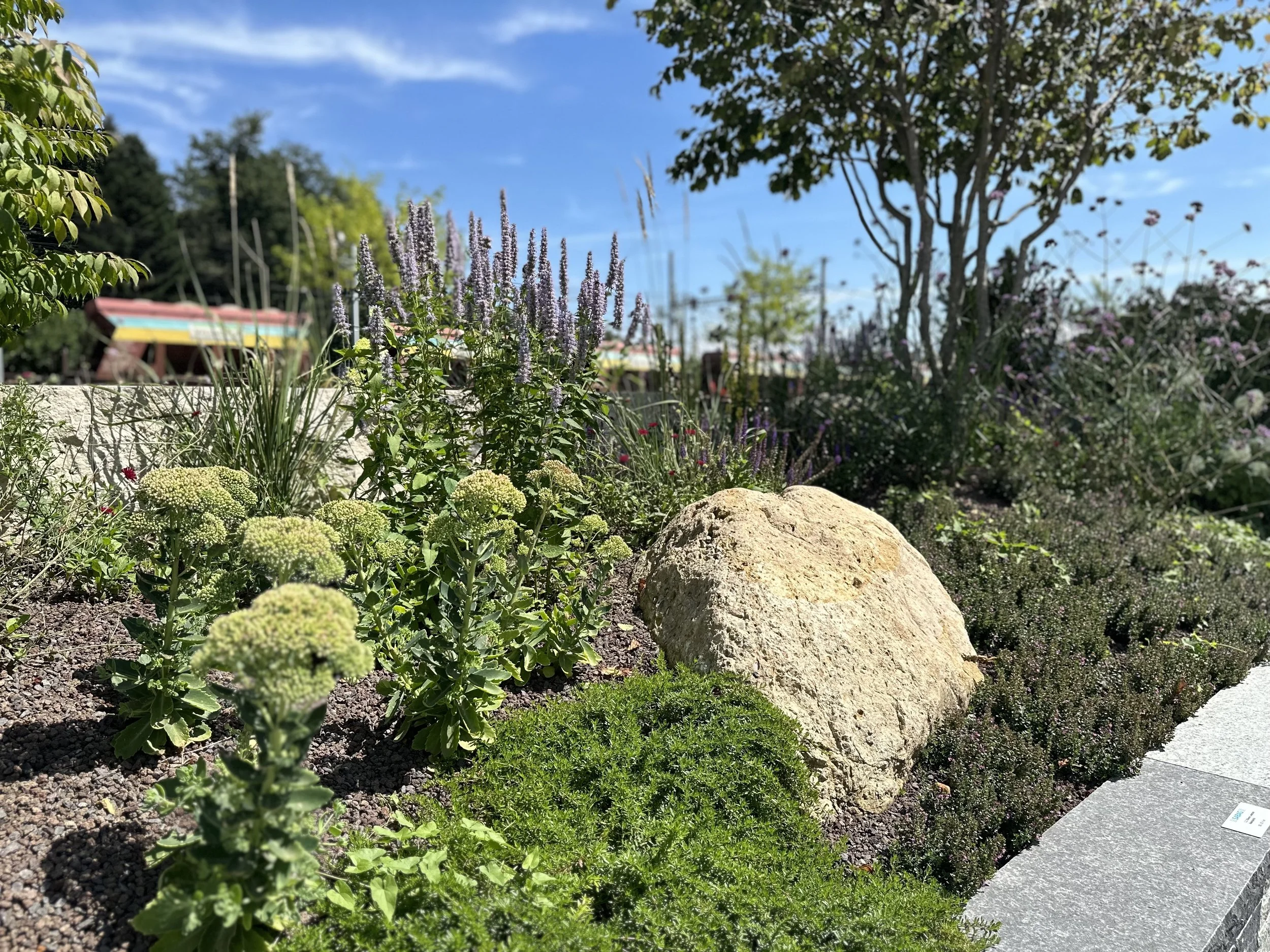 2024-08-09 13.13.38.jpg