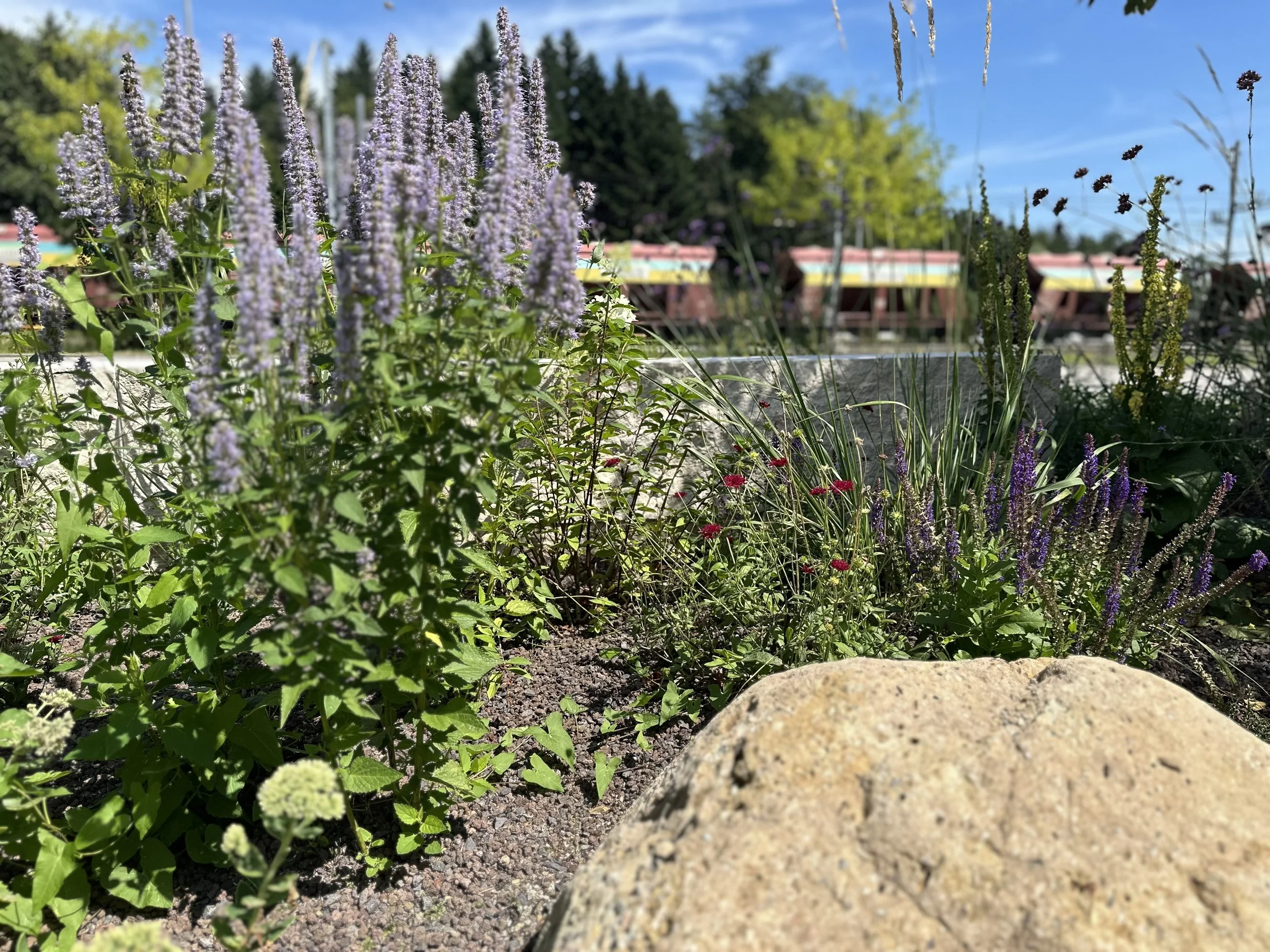 2024-08-09 13.13.43.jpg