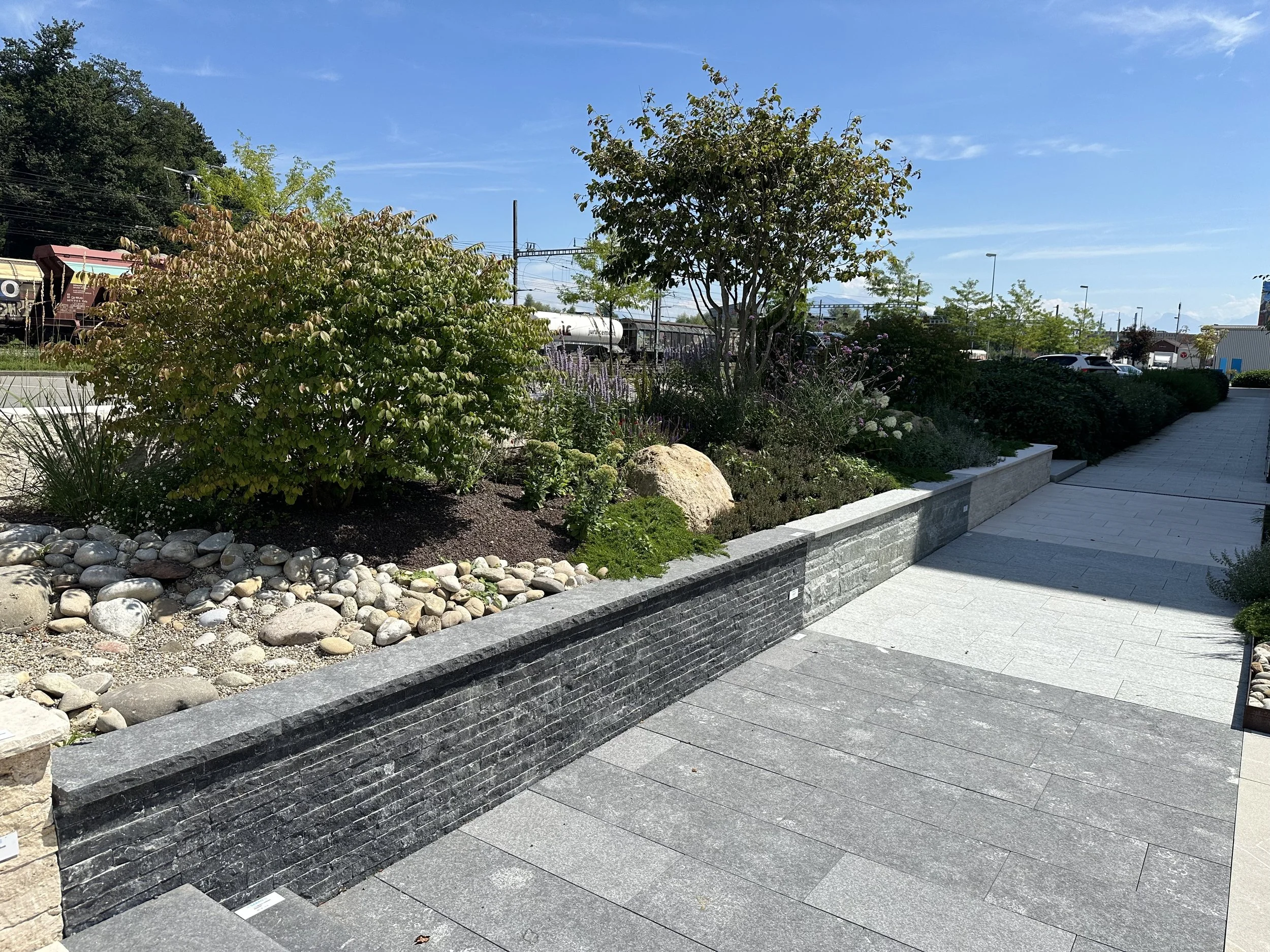 2024-08-09 13.13.26.jpg