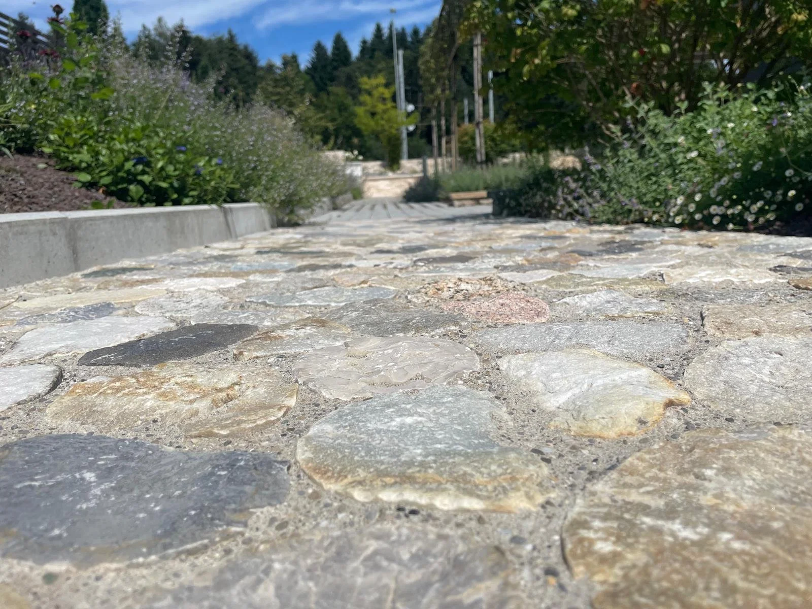 WhatsApp Image 2024-08-09 at 14.07.31 (3).jpeg