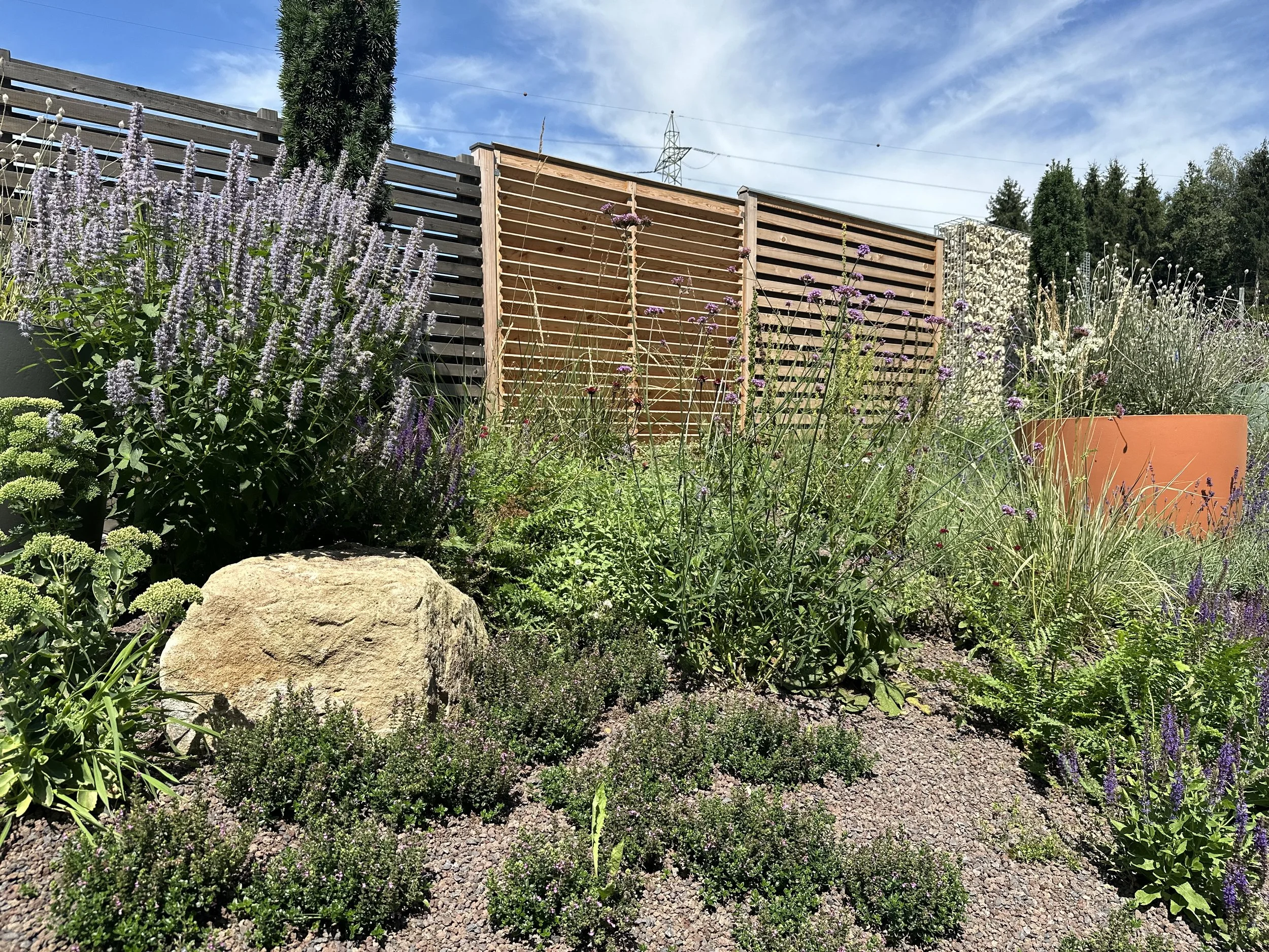 2024-08-09 13.13.00.jpg