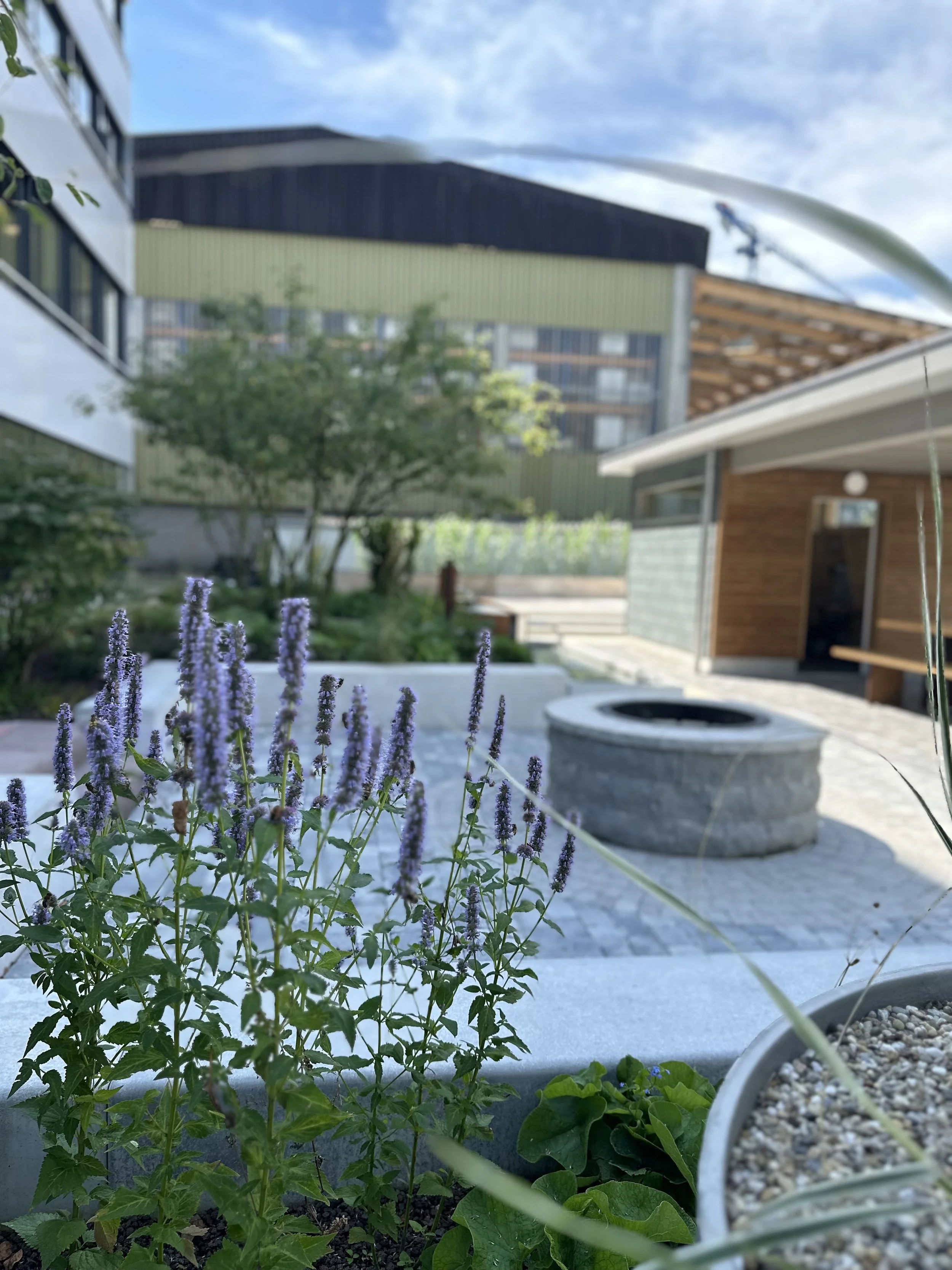 2024-08-09 13.14.14.jpg