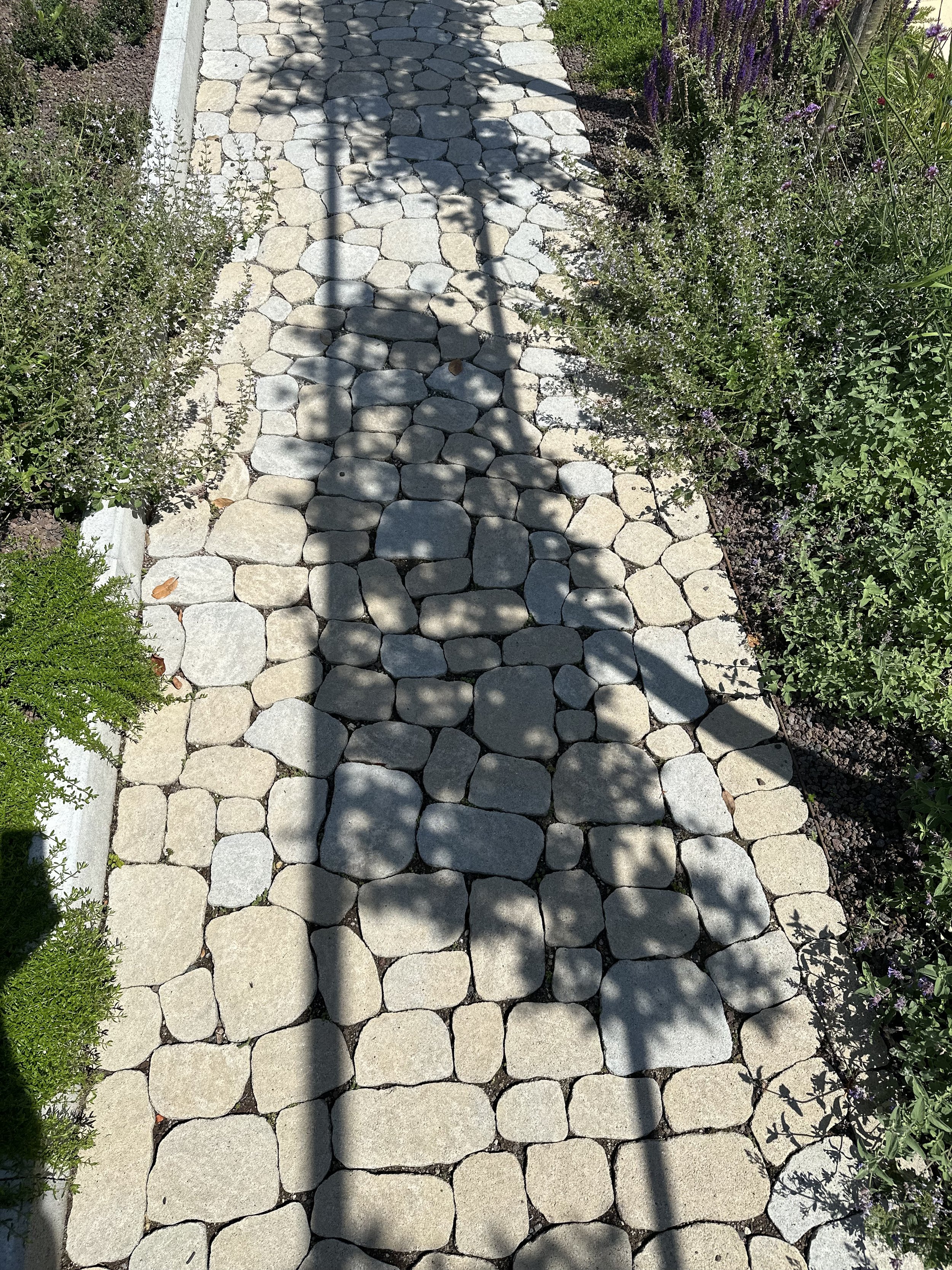 2024-08-09 13.13.13.jpg