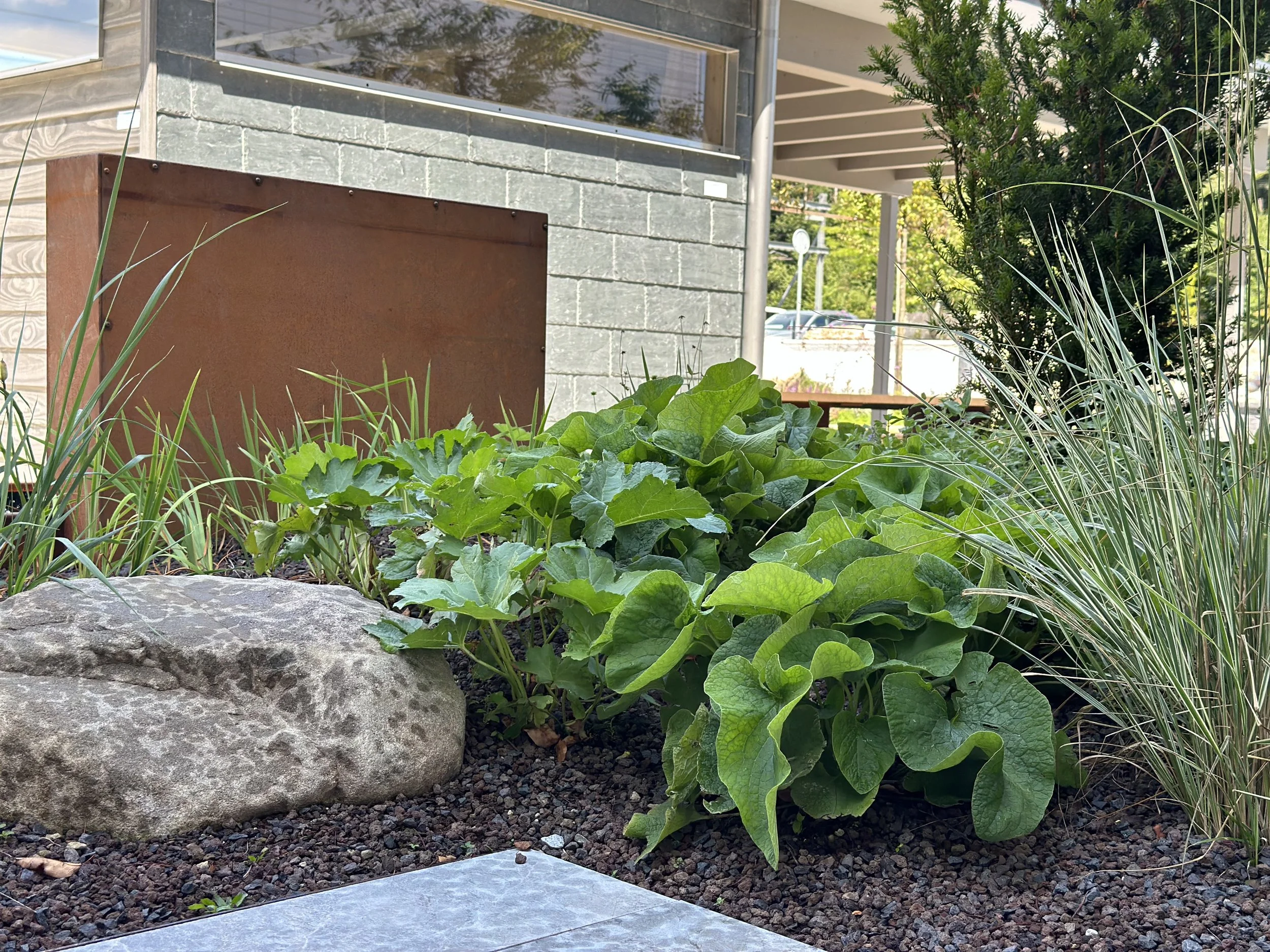 2024-08-09 13.09.55.jpg