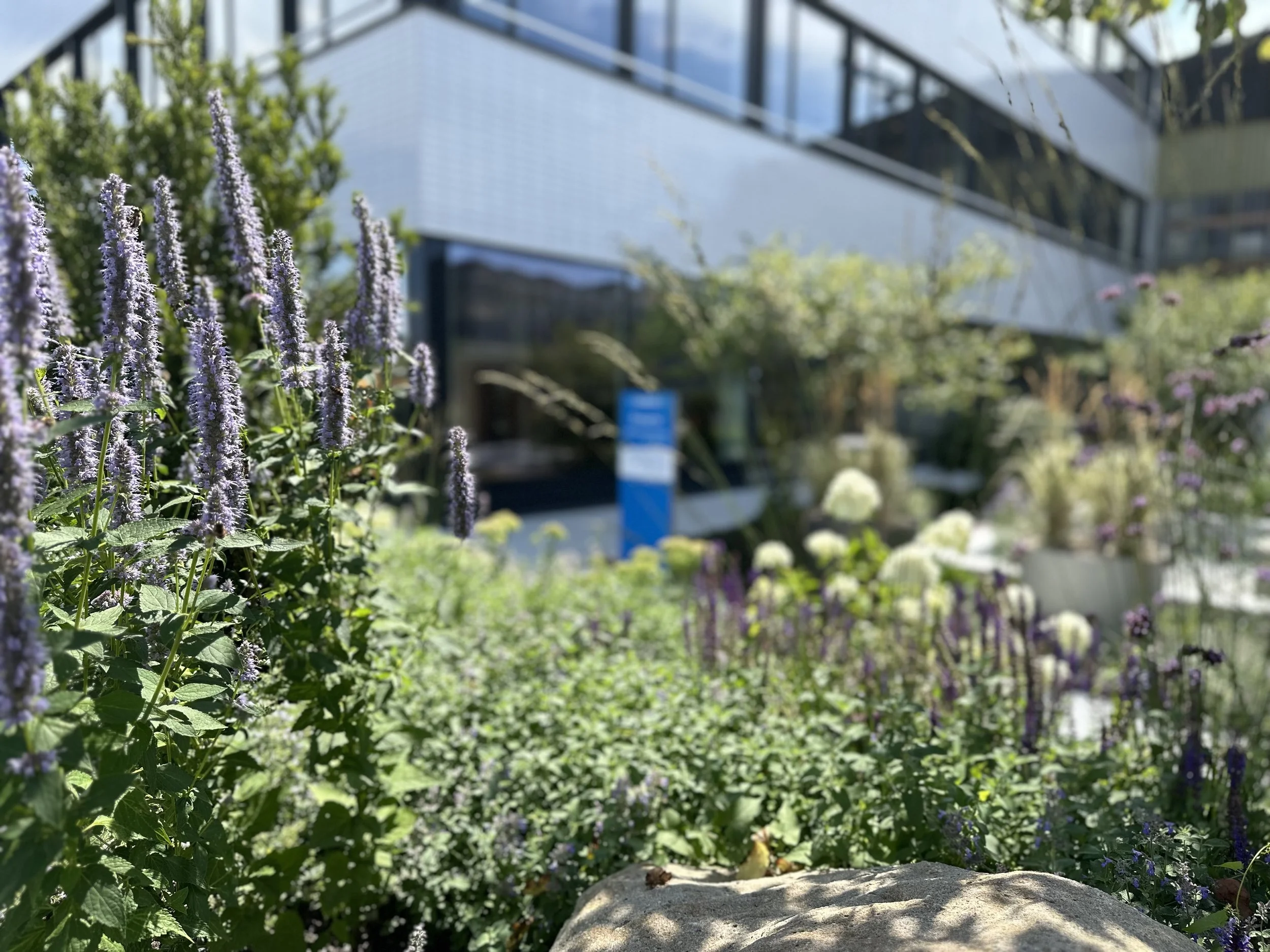 2024-08-09 14.11.53.jpg