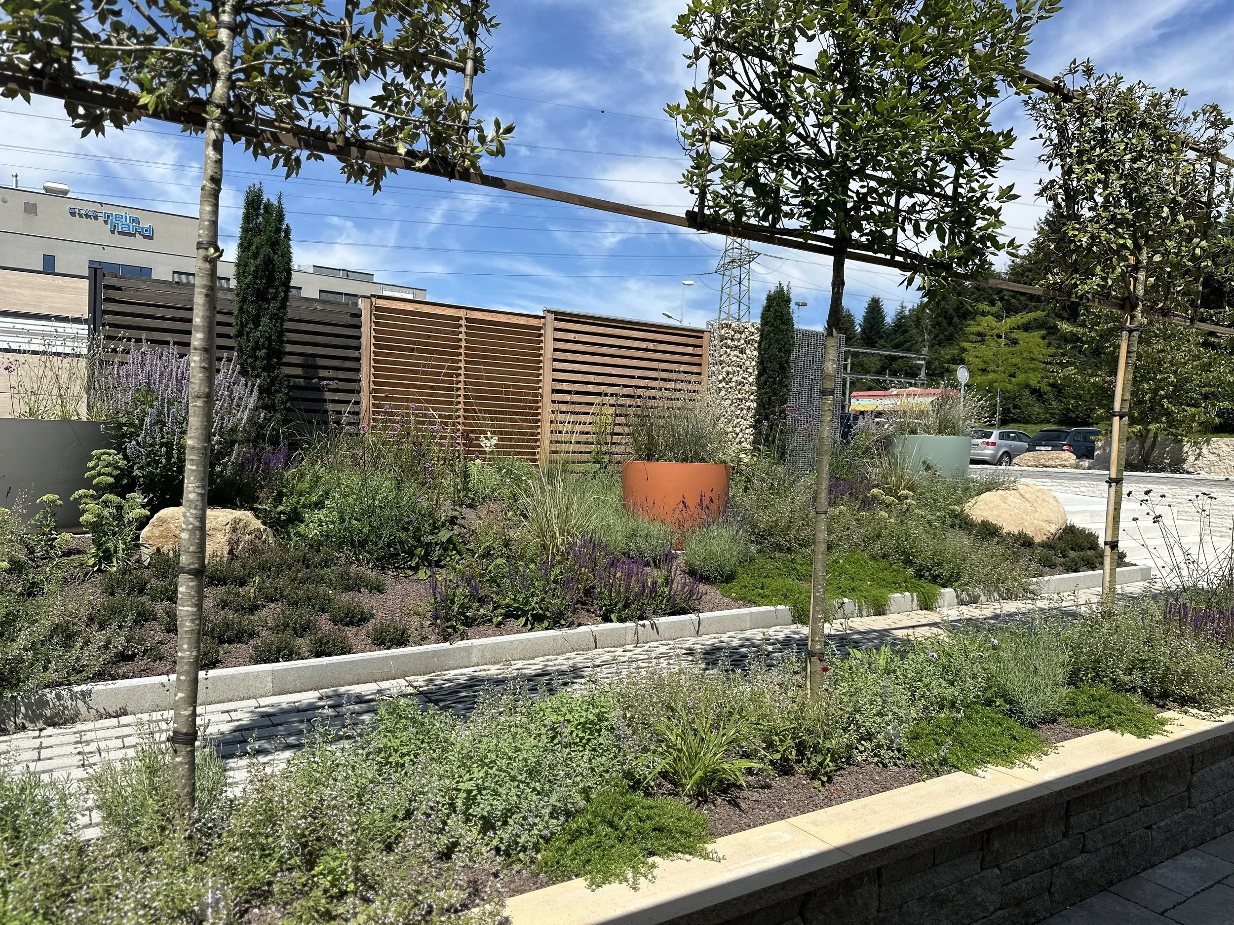 2024-08-09 13.12.53.jpg