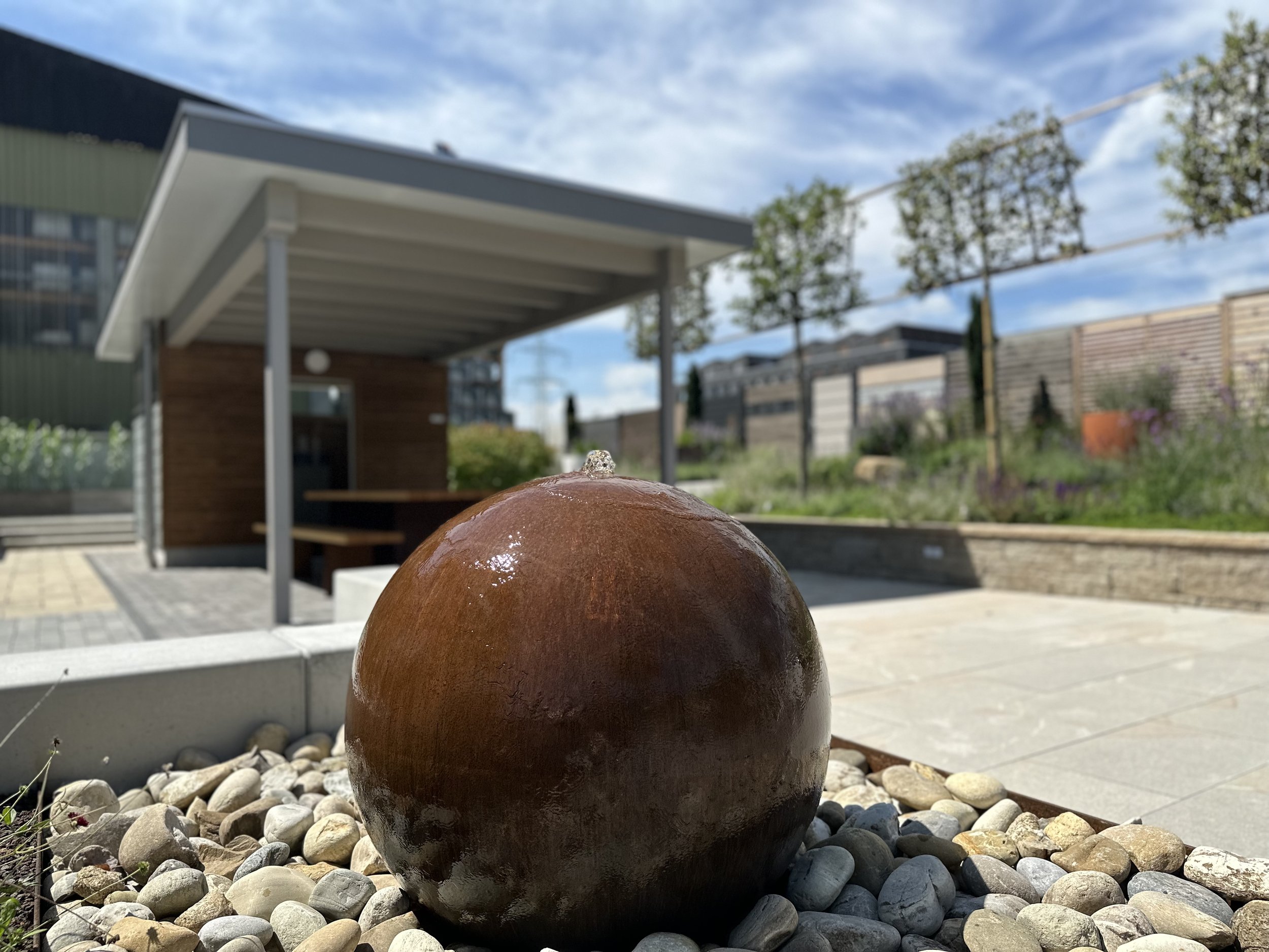 2024-08-09 13.14.01.jpg