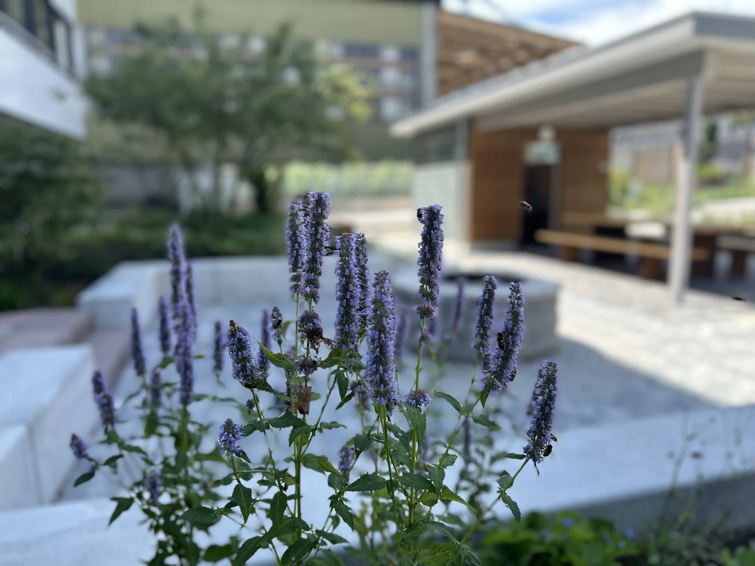 2024-08-09 13.14.09.jpg