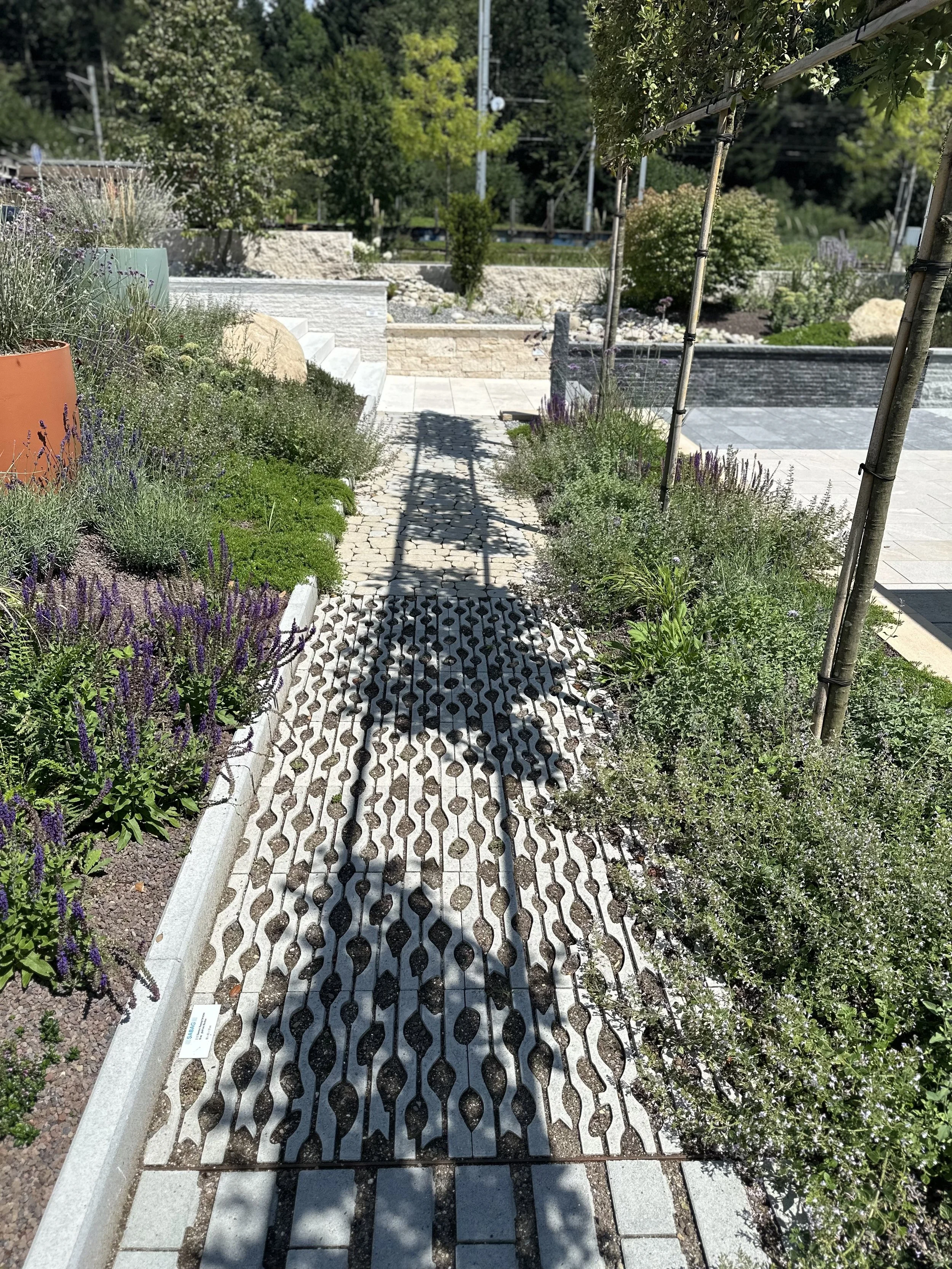 2024-08-09 13.13.02.jpg