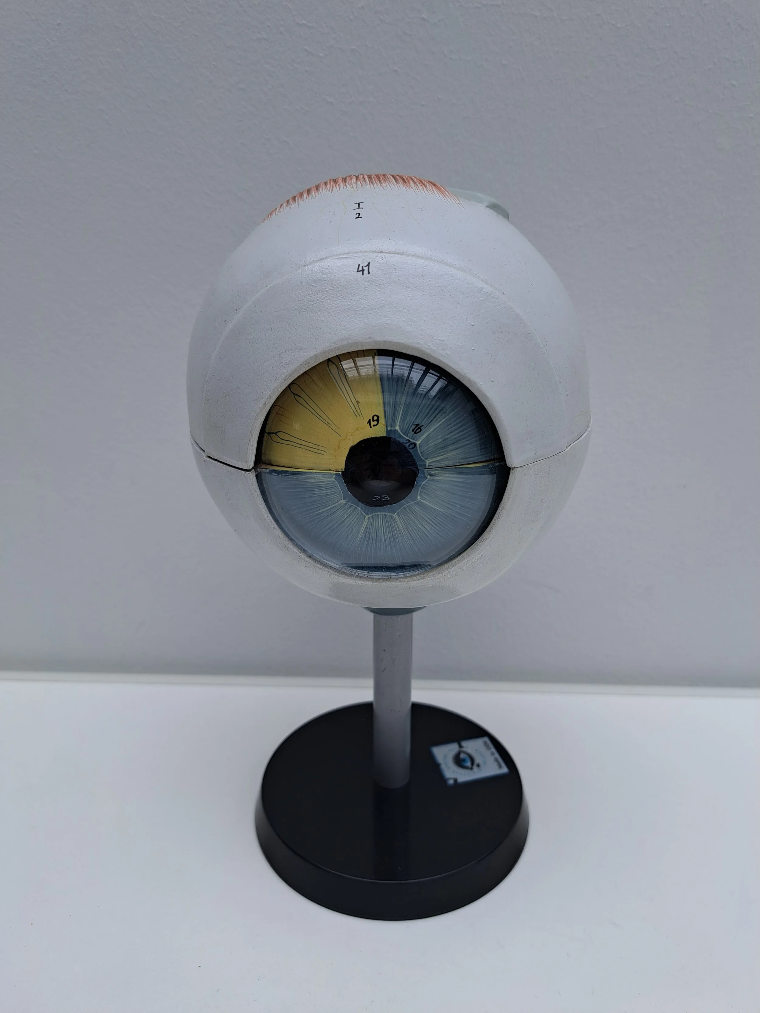 20250416_101553.jpg