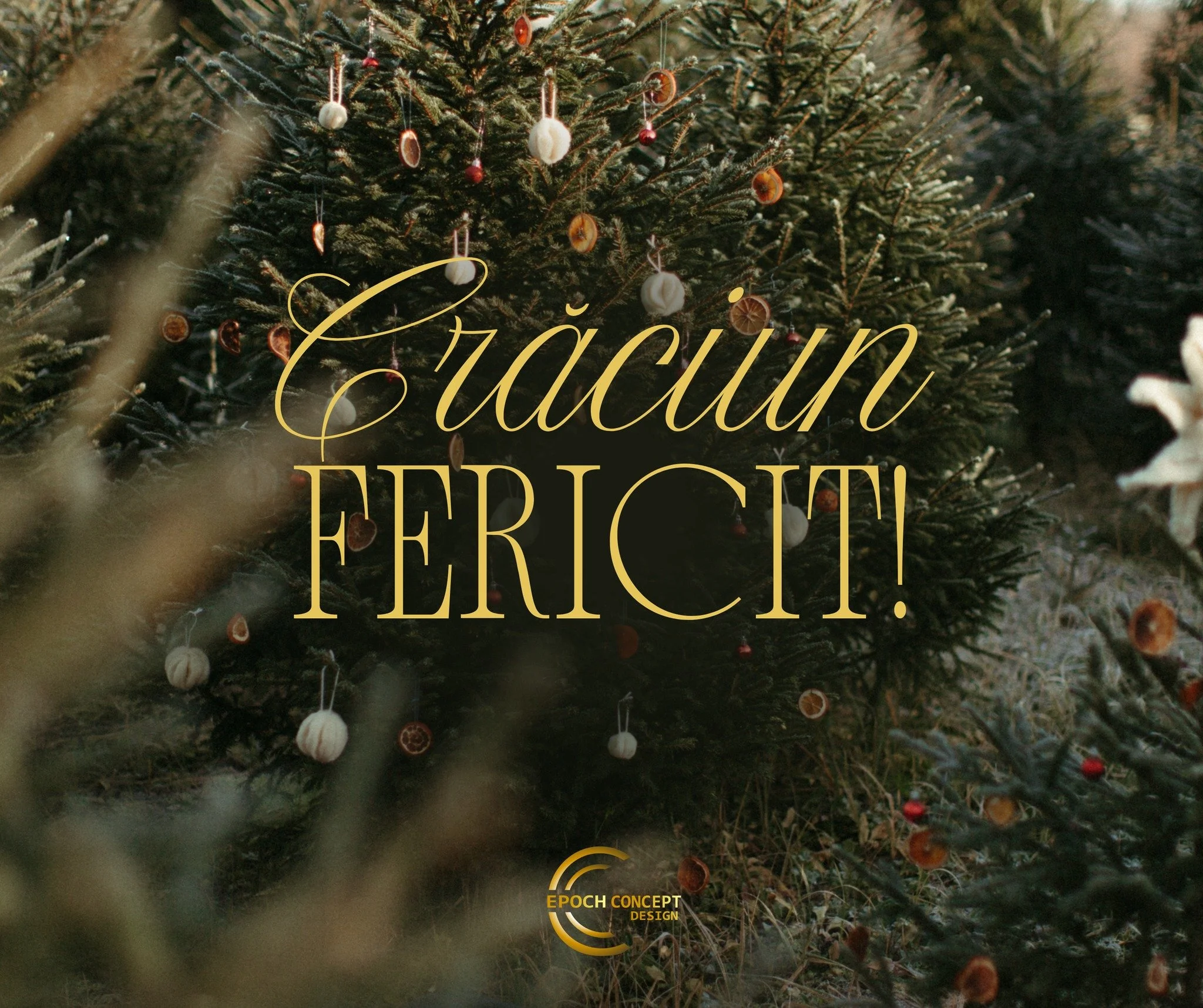 Astăzi e despre liniștea din suflet, &icirc;mbrățișările care spun mai mult dec&acirc;t cuvintele și magia clipelor petrecute &icirc;mpreună. 

Crăciun fericit! 🎄❤️