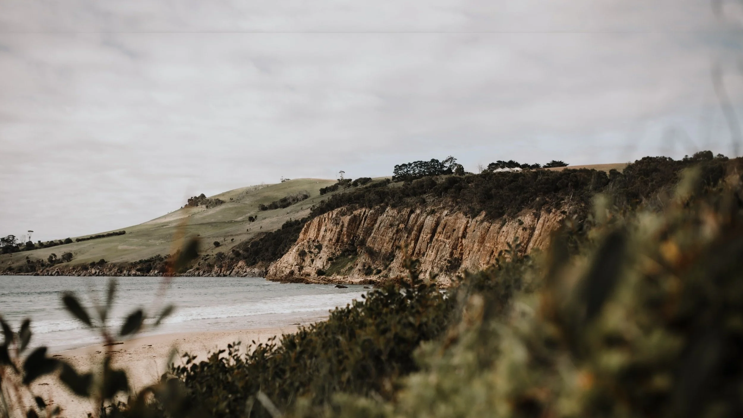 McGregor & Associates