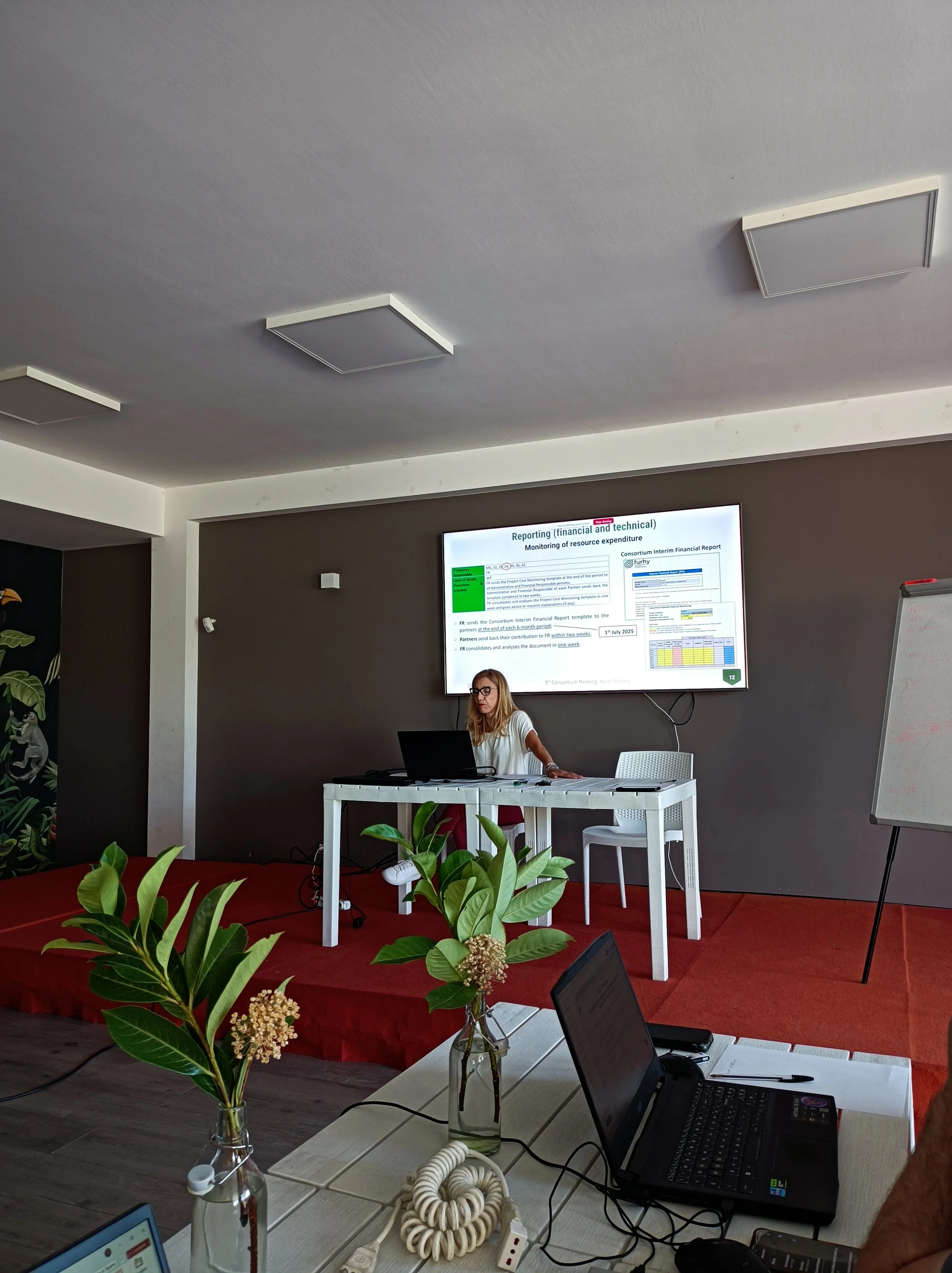 5th Consortium meeting, Ascoli Piceno (Italy), hosted by Nano-Tech, 18.09.2025