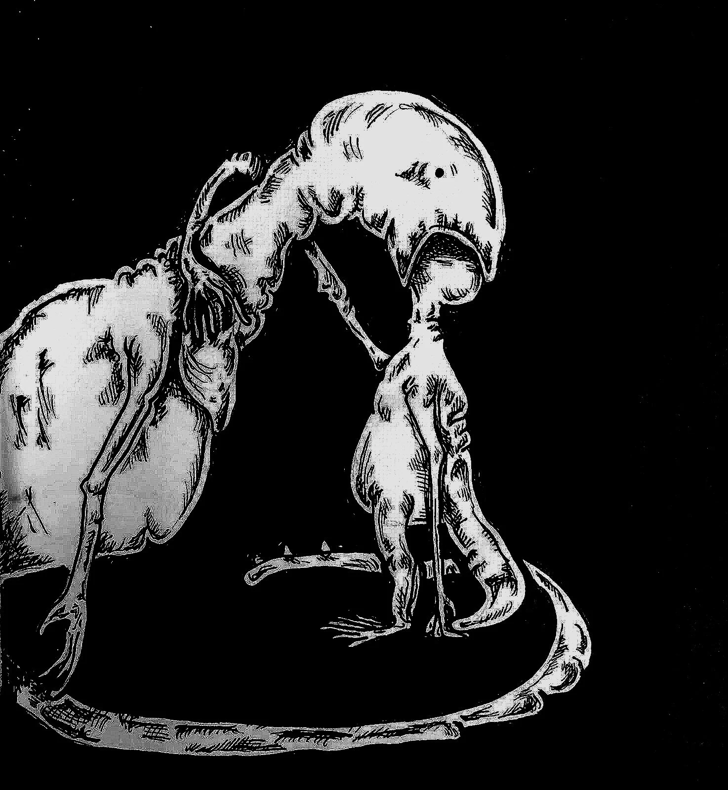 une année sans lumière // Wo wir keine Augen brauchen