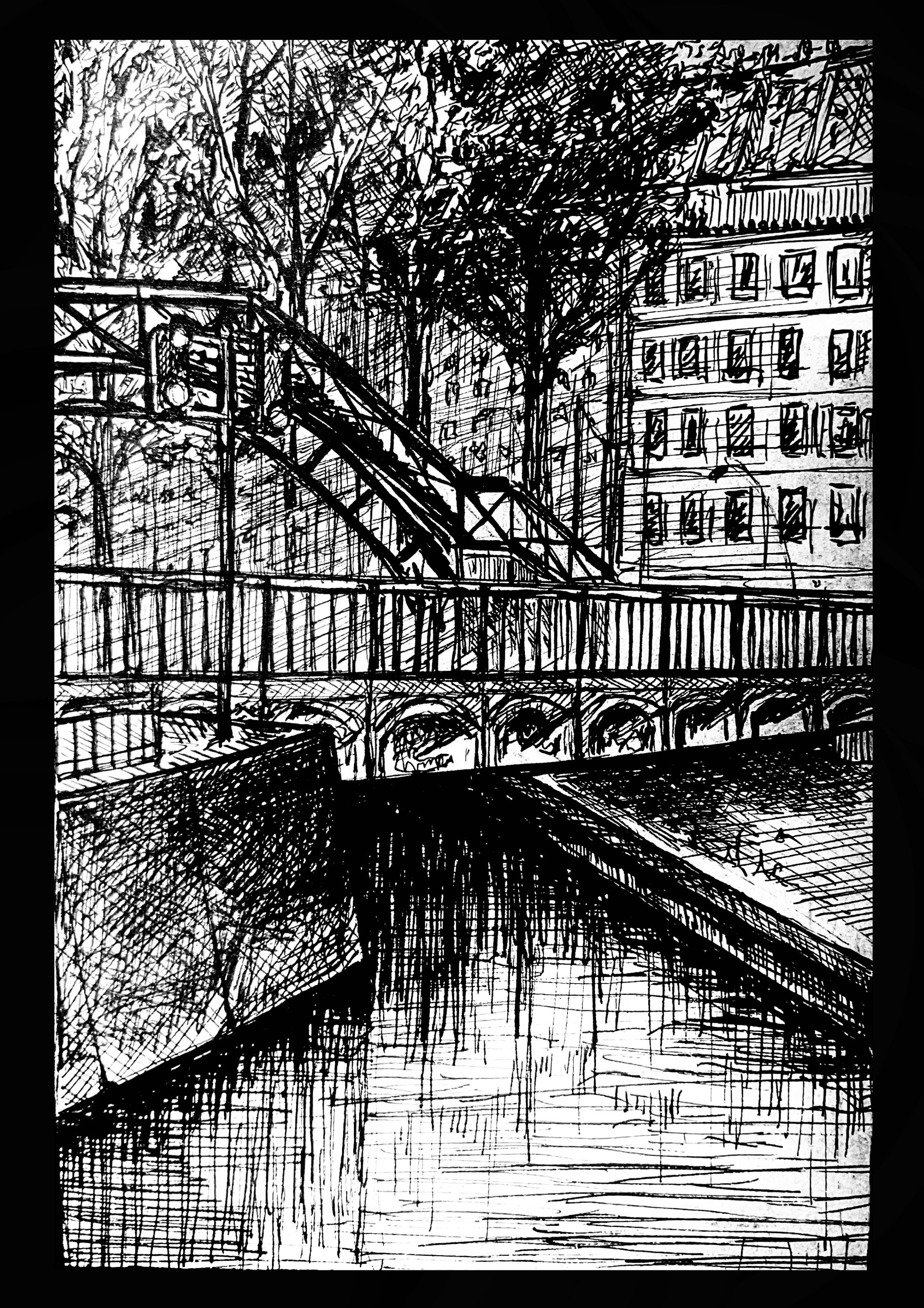 IMG_2507.jpeg