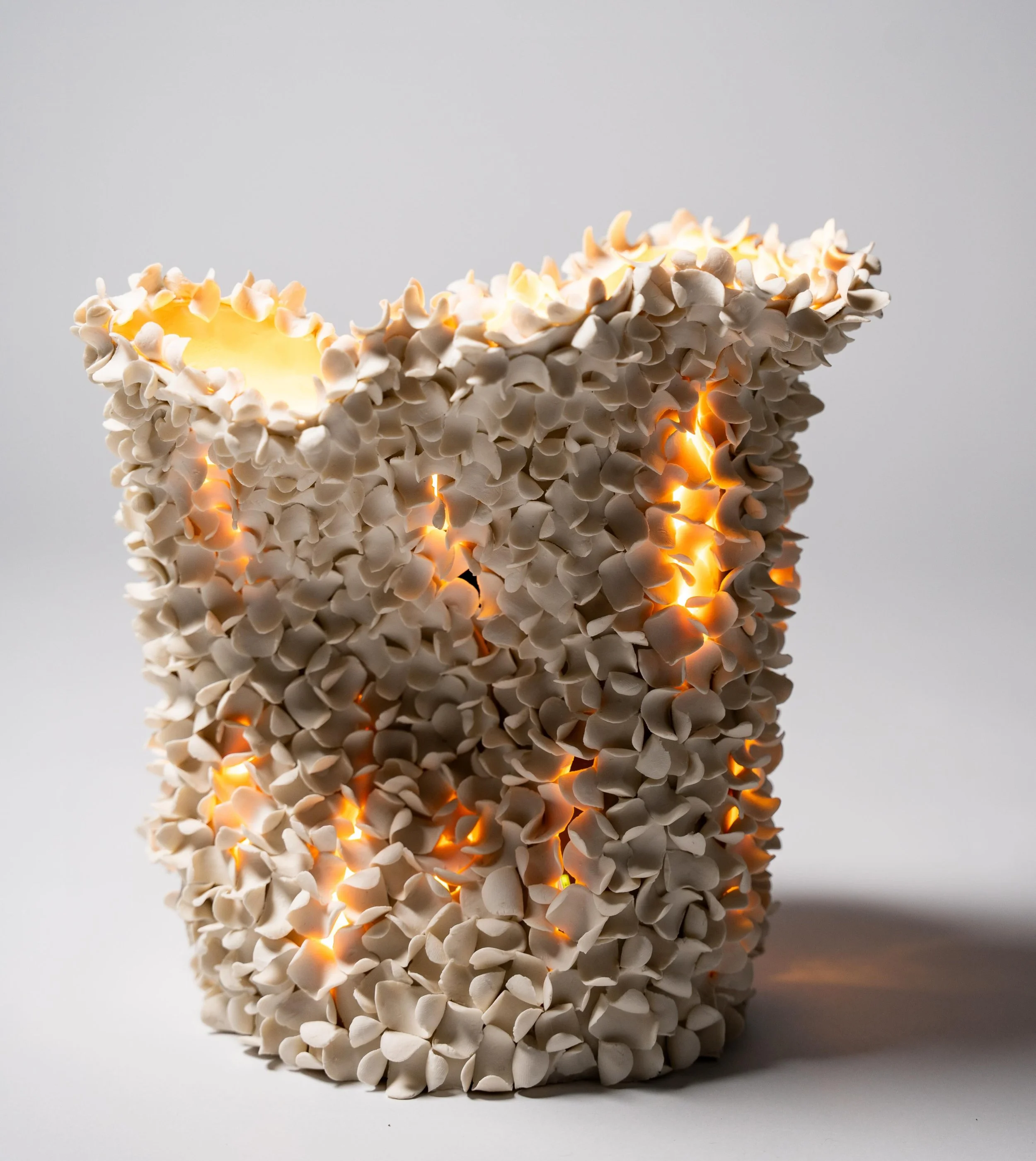 Porcelain lamp

#porcelain #porcelainlamp #designlamp #porcelaindesign