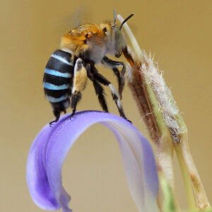 IMG_3422.jpeg