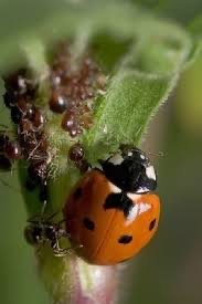 IMG_3423.jpeg