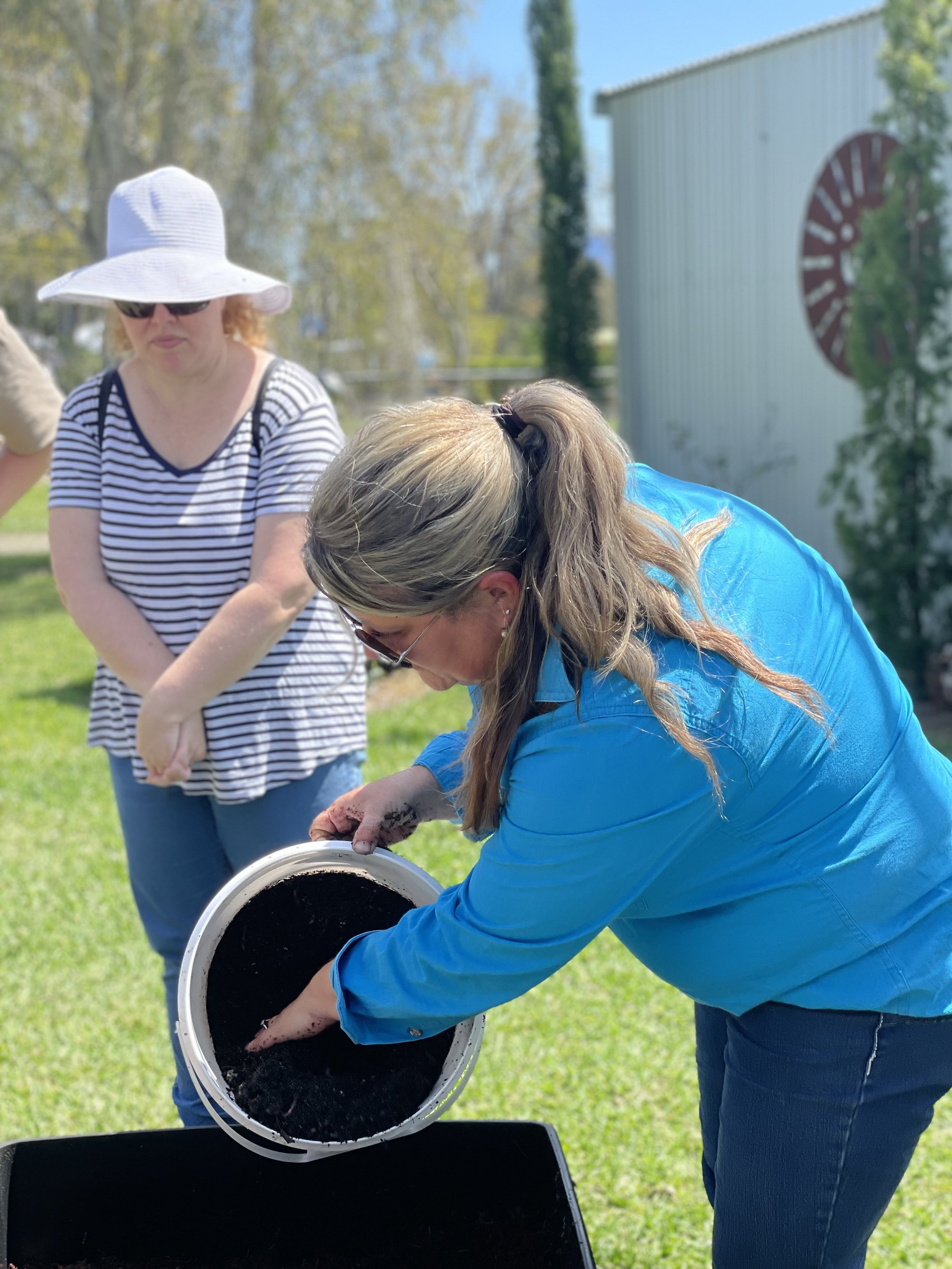 Running Worm farm Workshops and consulting on setting up worm farms