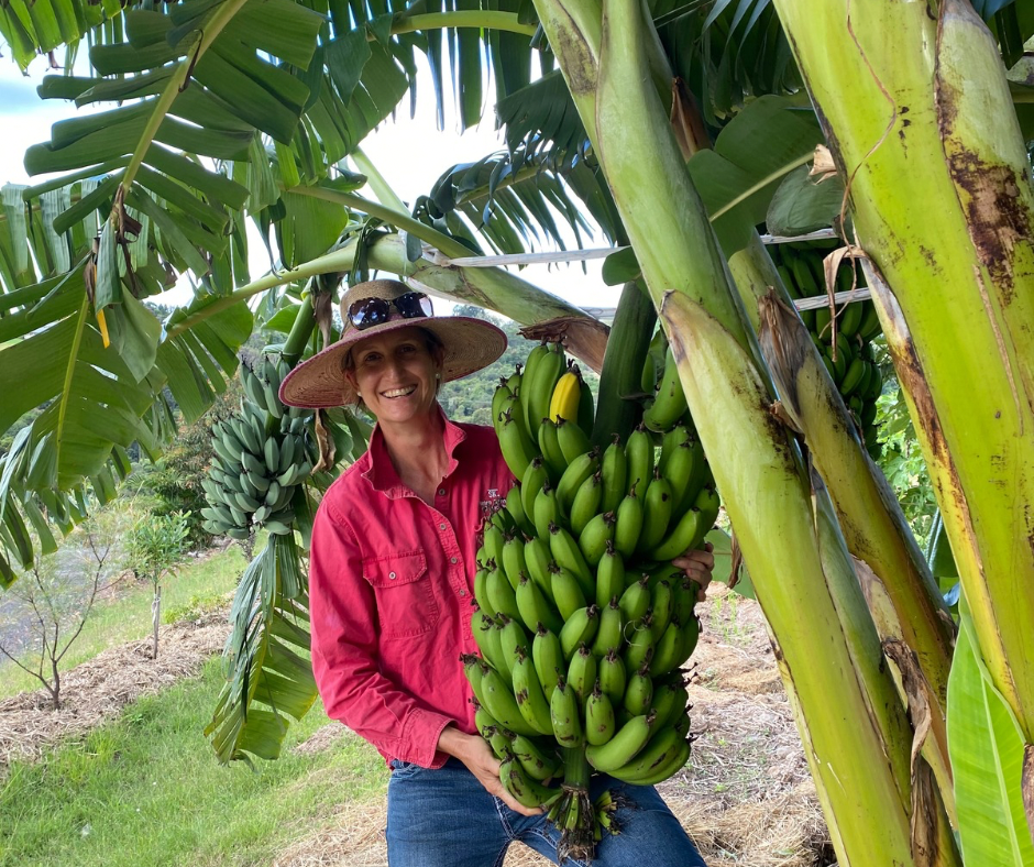 Working alongside clients to support growing nutrient rich fruits and vegetables.