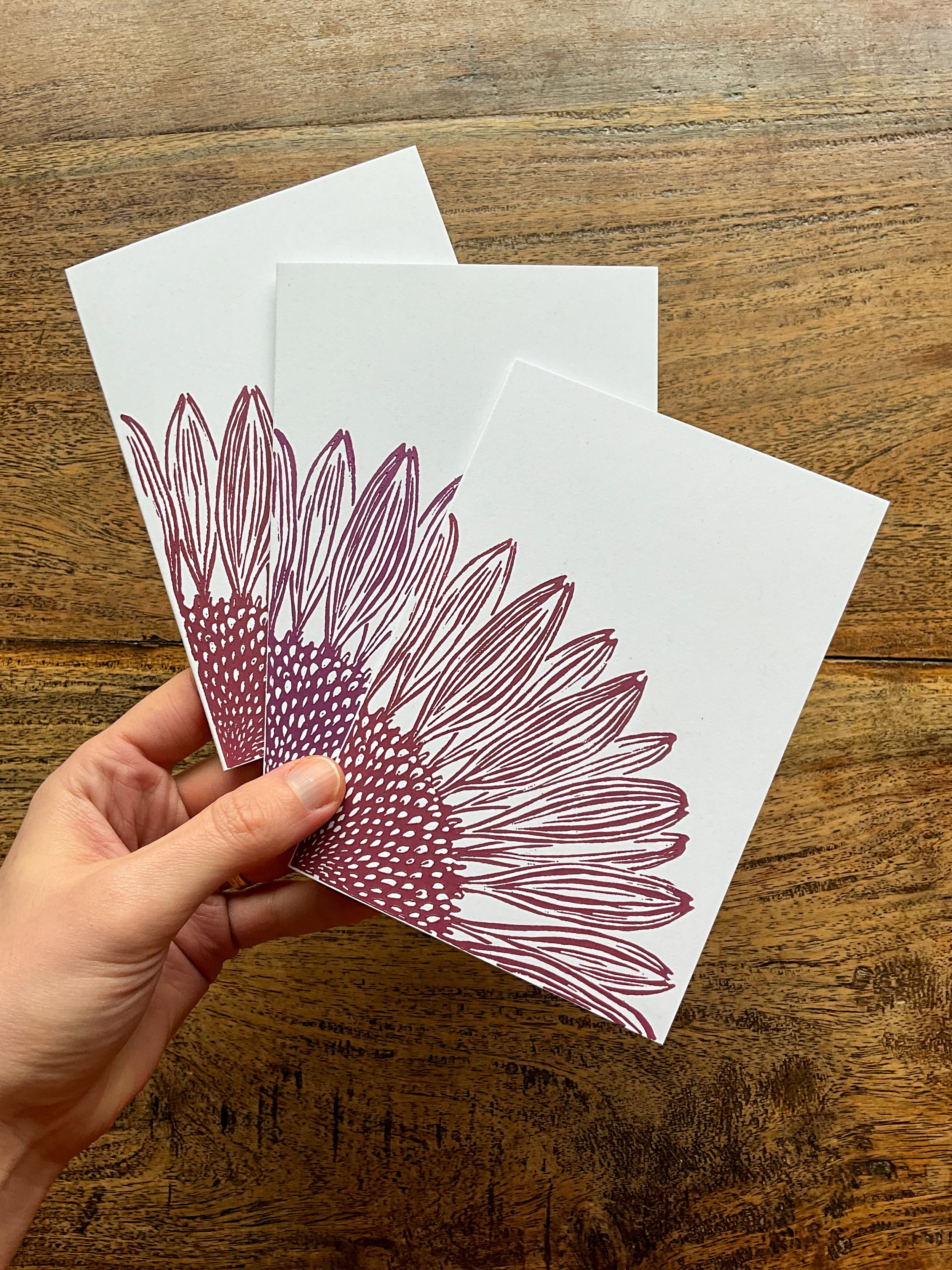 Hand holding three A6 coneflower linocut greeting cards