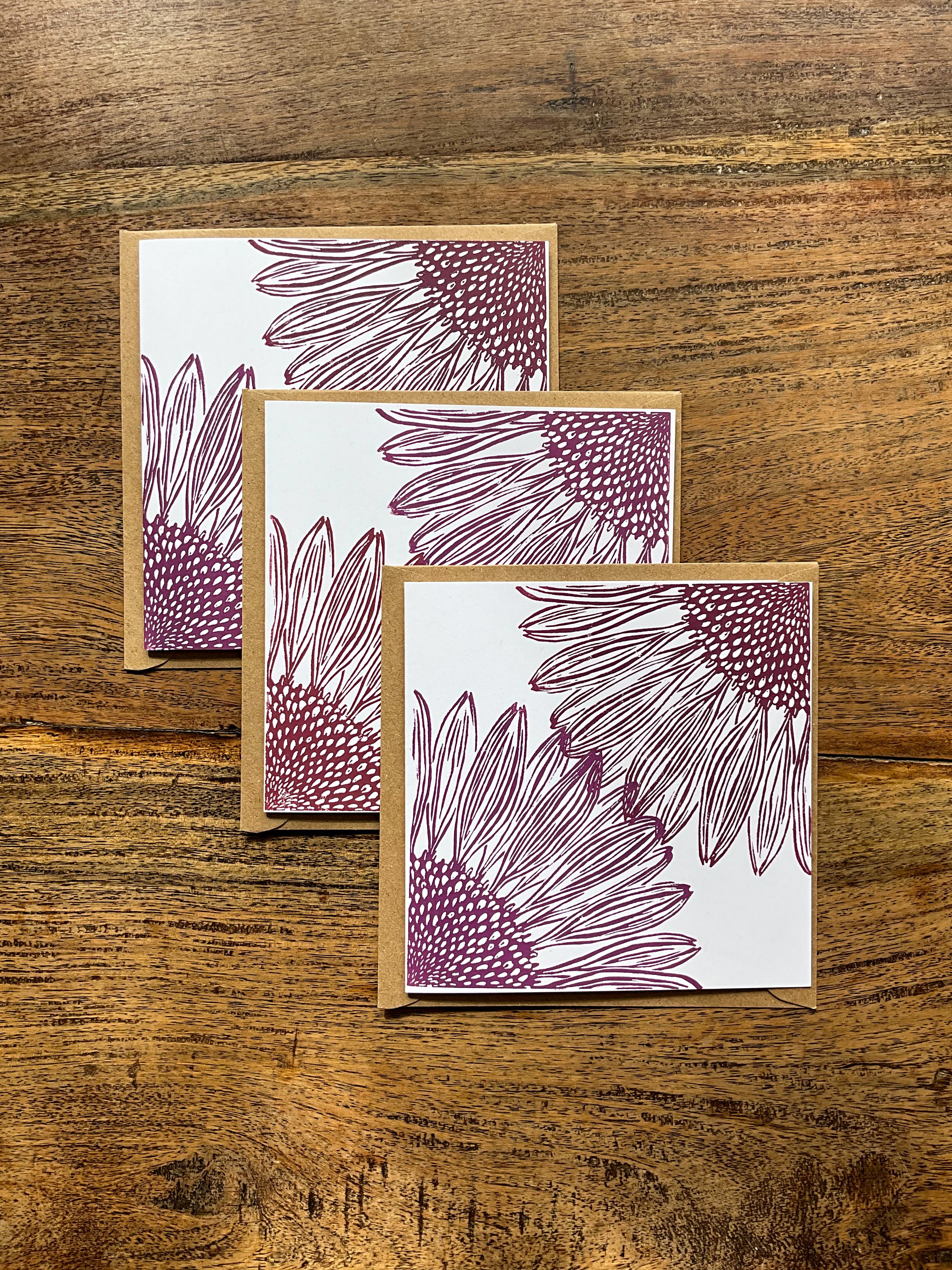 Three square coneflower greeting cards and envelopes, example of bundle