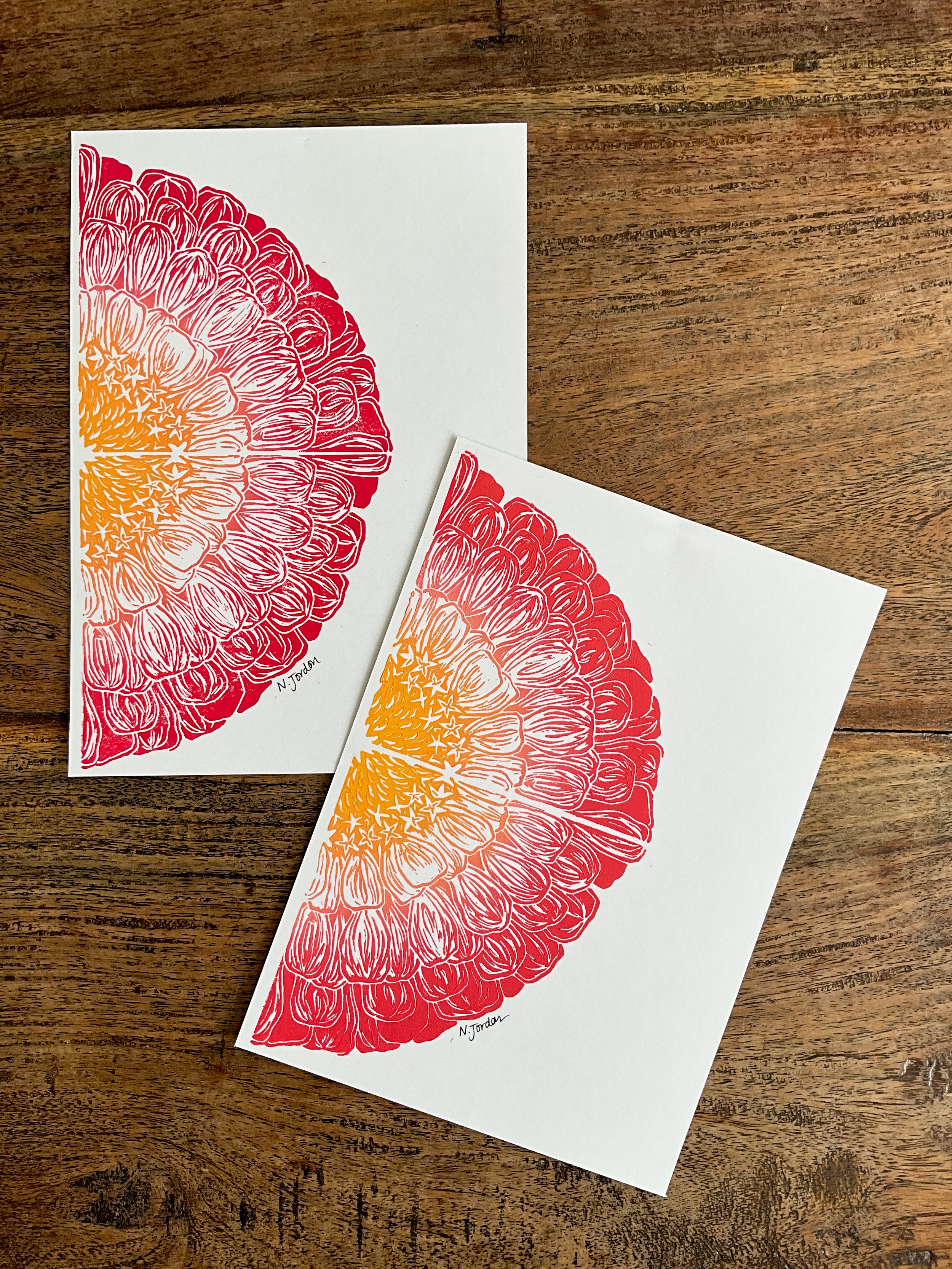 Two half zinnia prints, in colourful ombrés