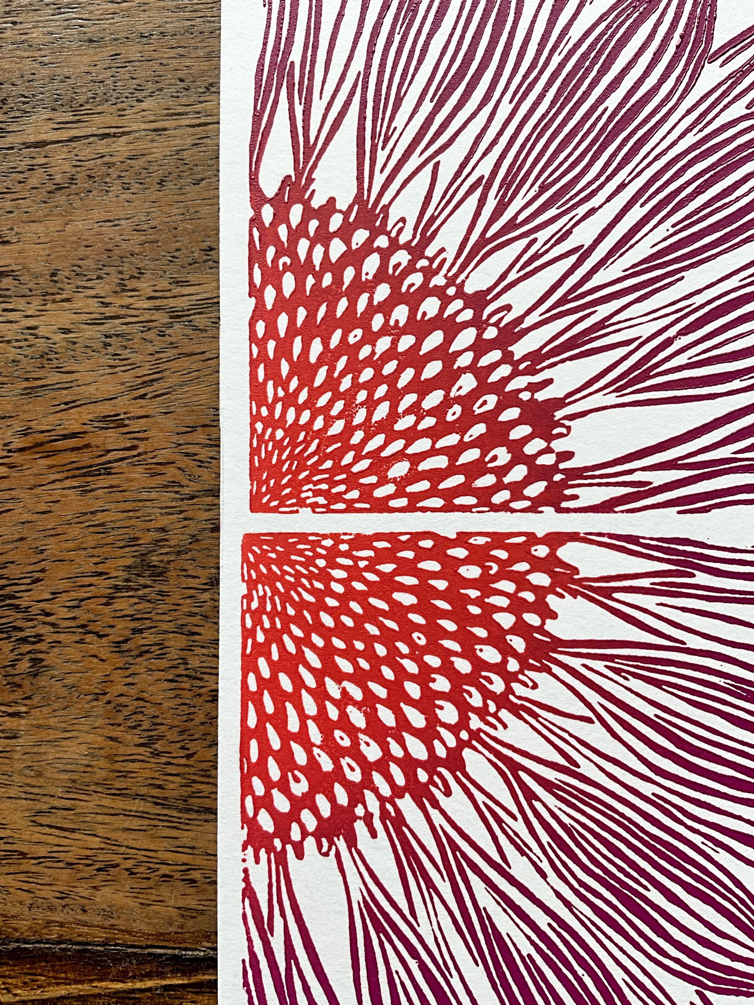 Close up of centre of coneflower print, showing texture of time and ombré gradient