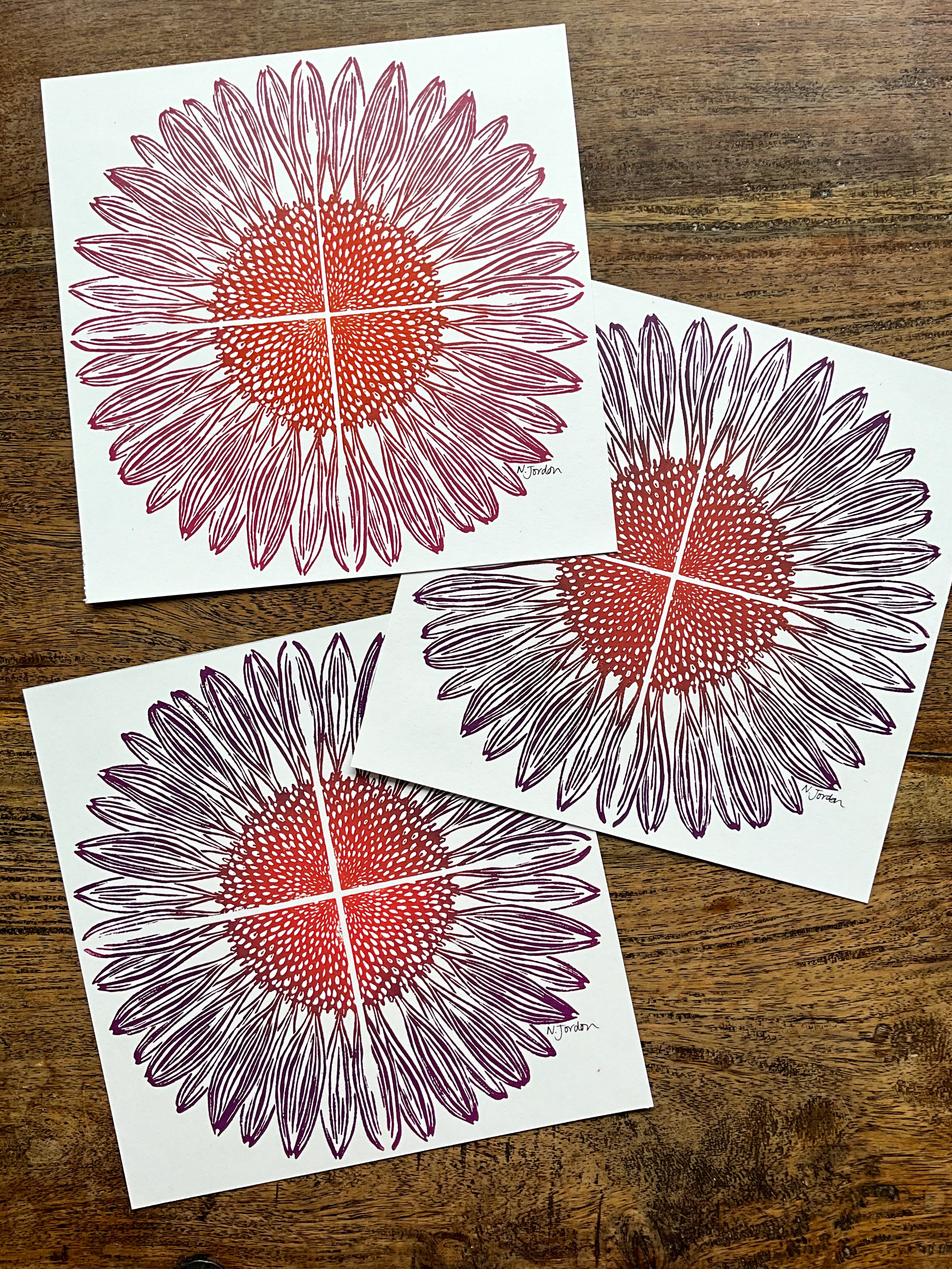 Coneflower full print, square
