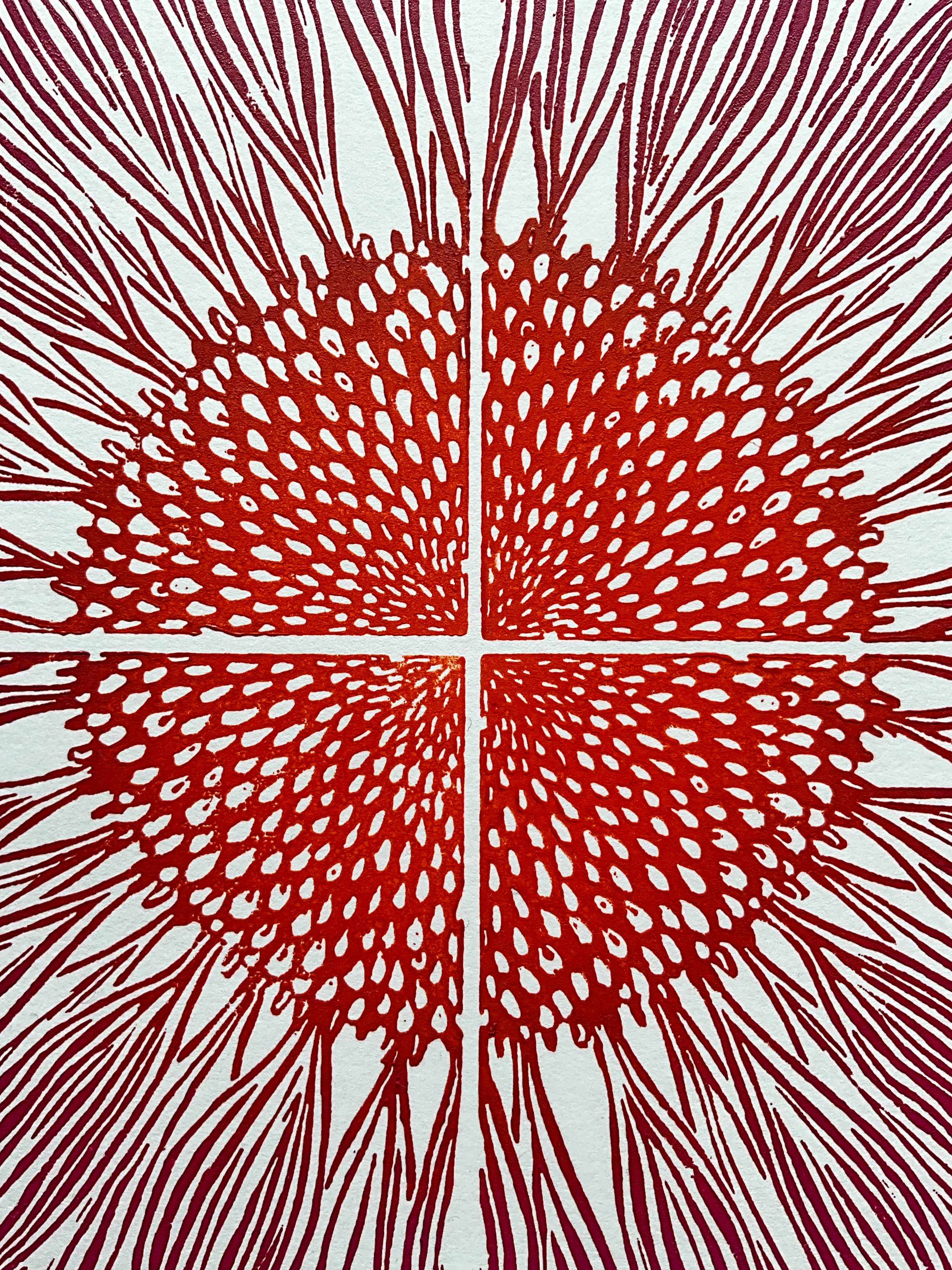 Close up of centre of coneflower, showing texture and details of ink