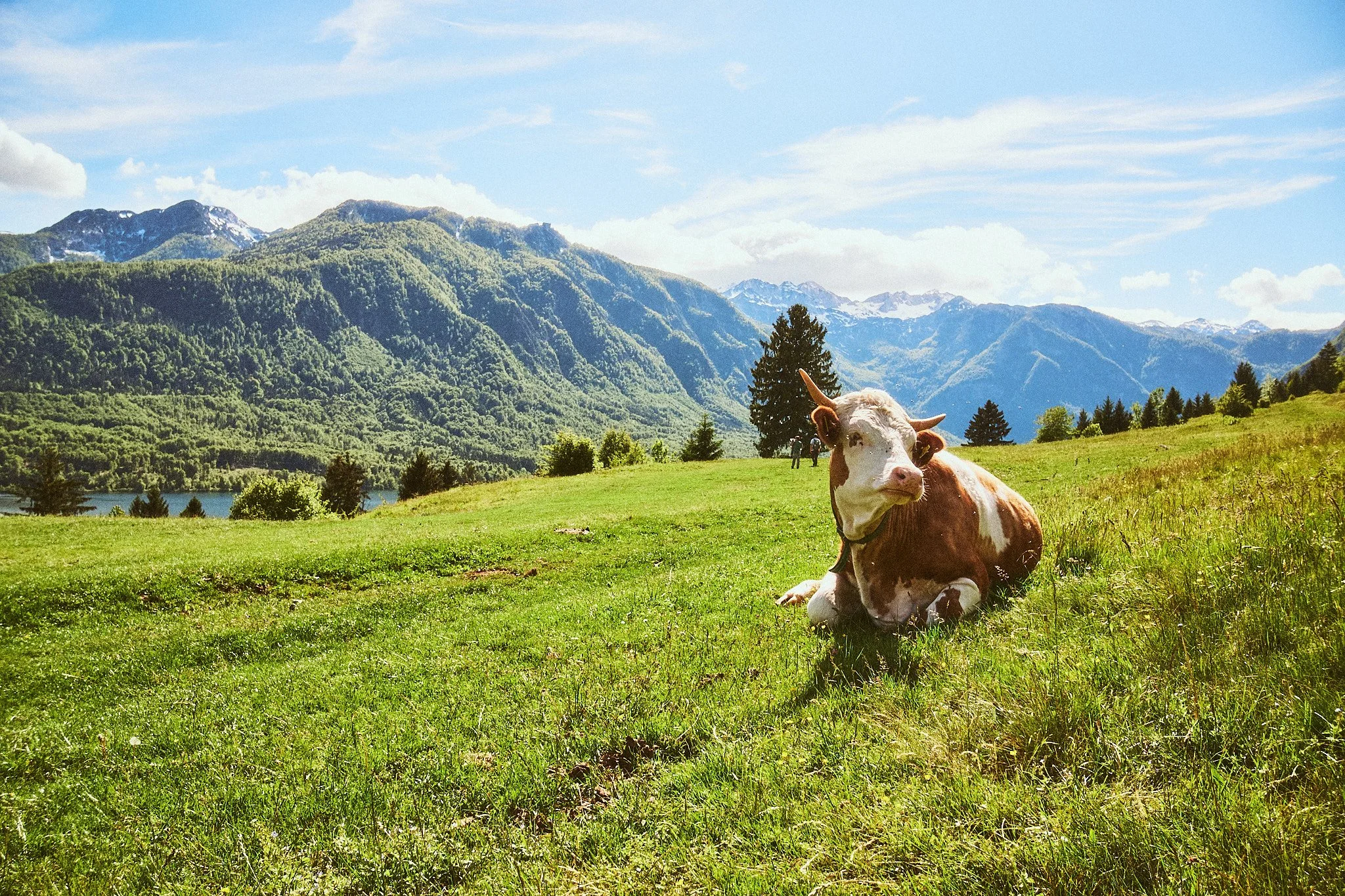 Slovenia