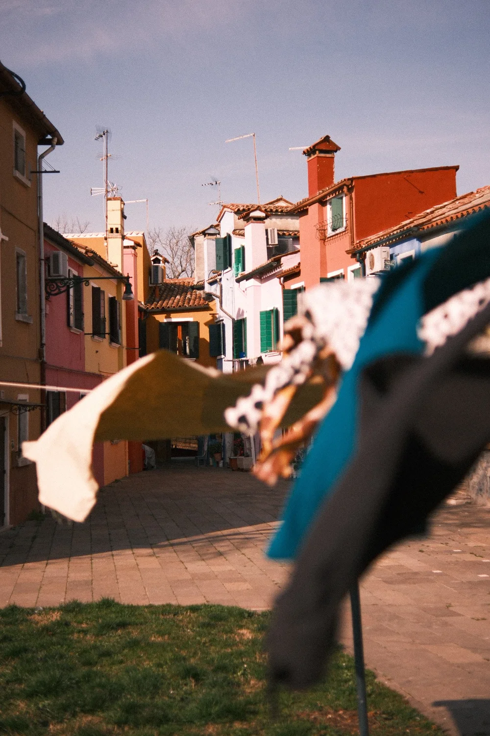 DSCF0504.jpg