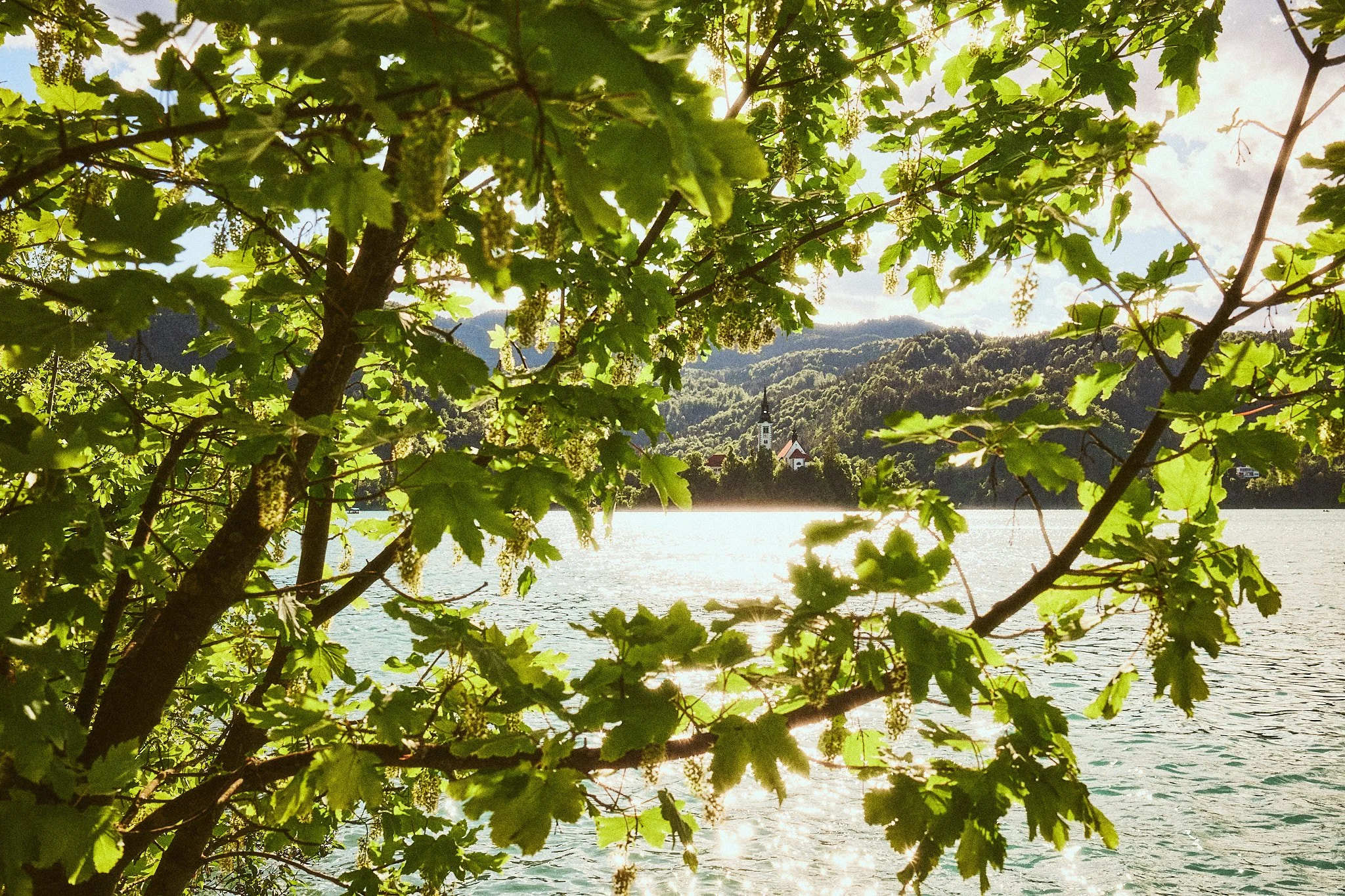 DSCF0077.jpg
