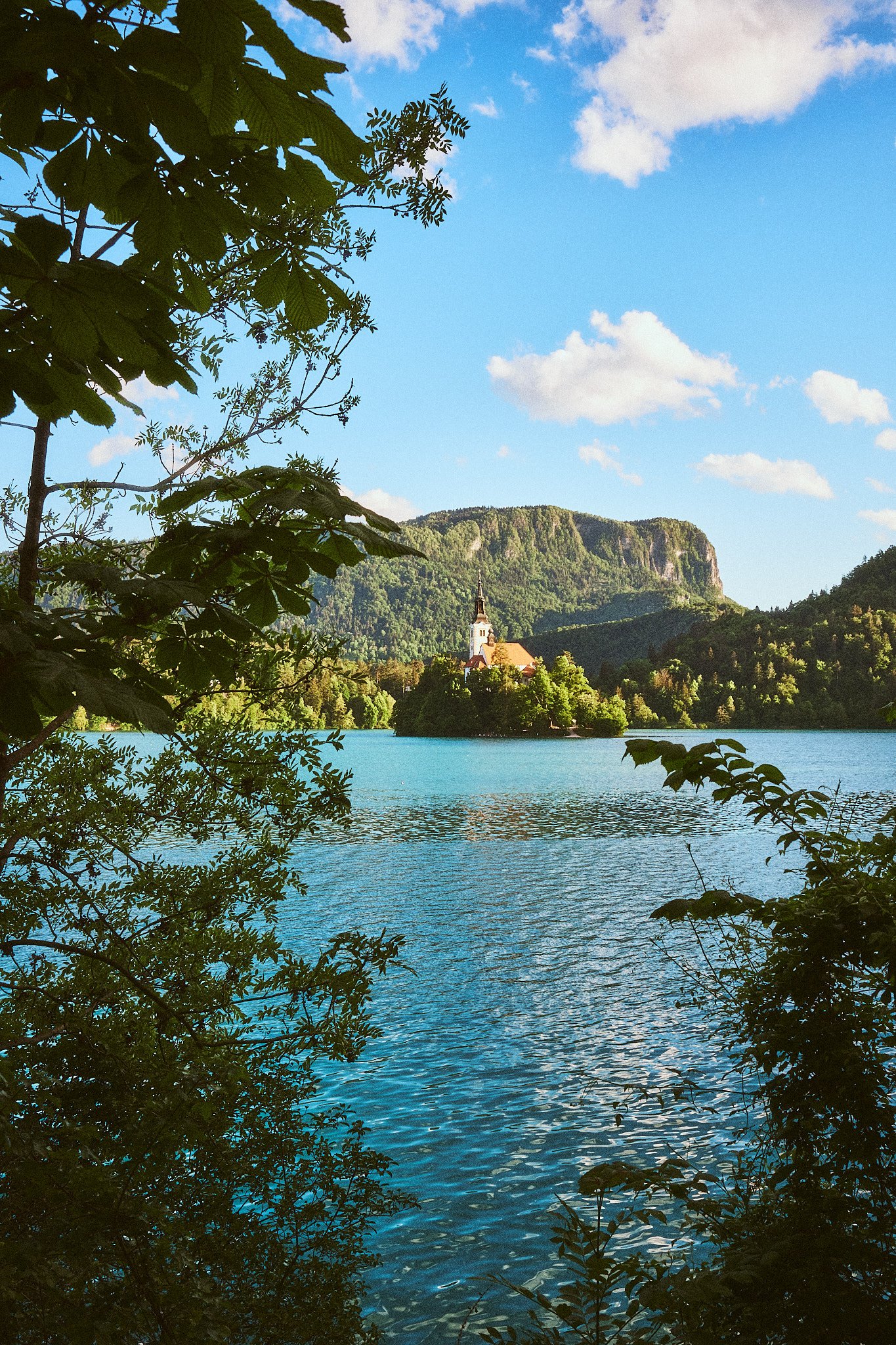DSCF0103.jpg
