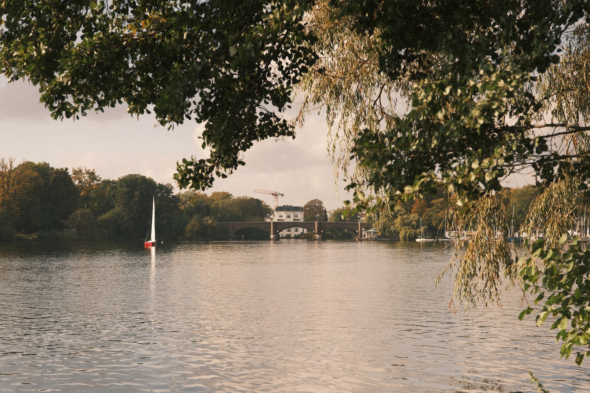 DSCF9866.jpg