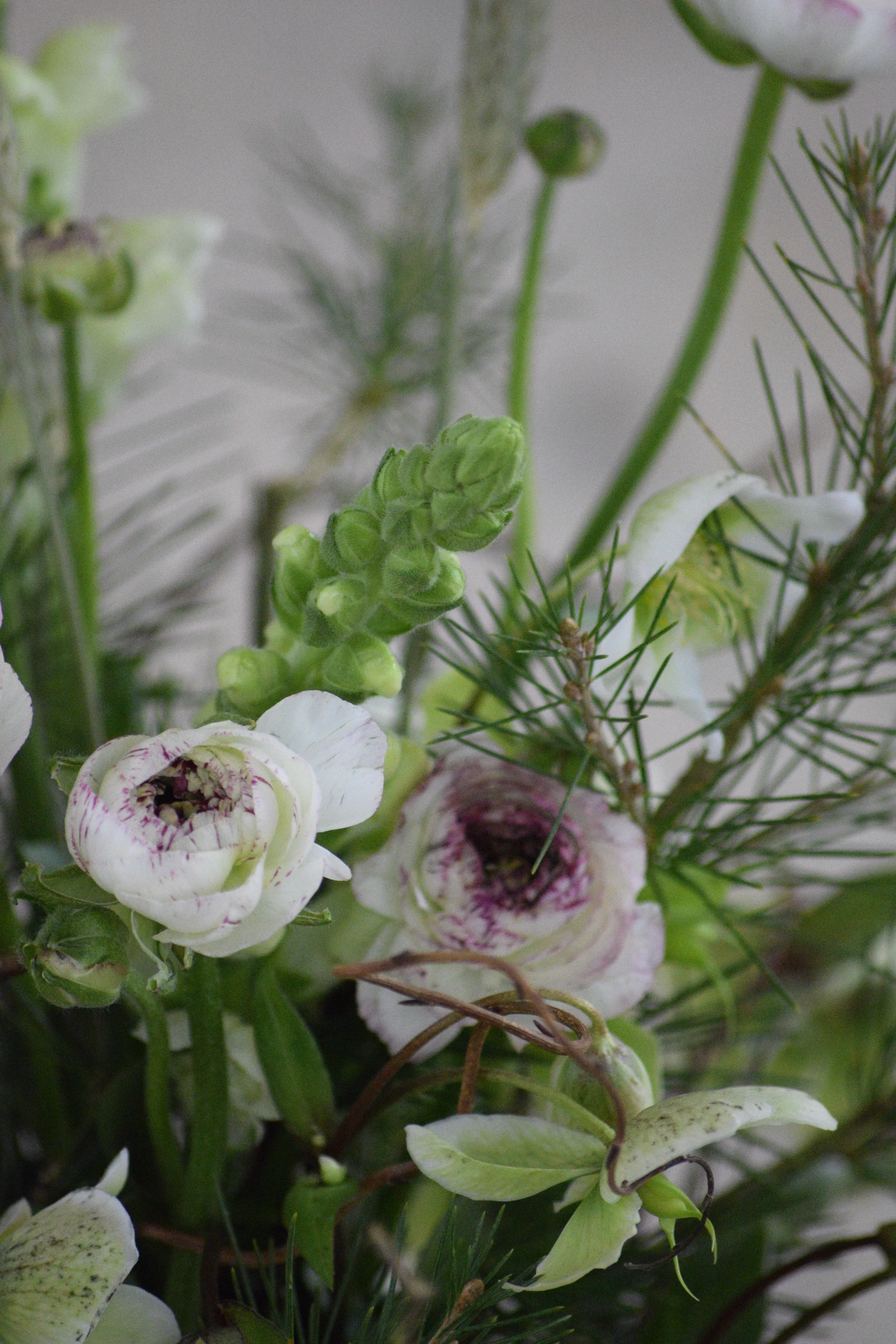 Close-up of assorted white flowers with green buds and pine needles.