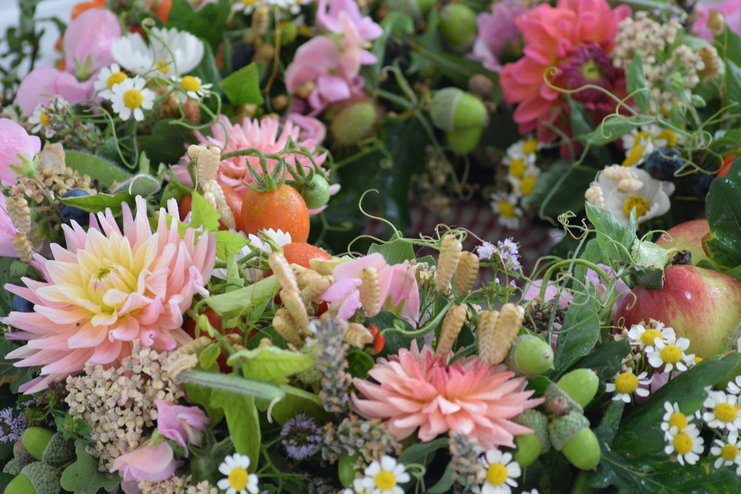 A colorful bouquet of various flowers including pink dahlias, white daisies, pink and purple blooms, and green foliage with small ripening tomatoes and seed pods scattered throughout.
