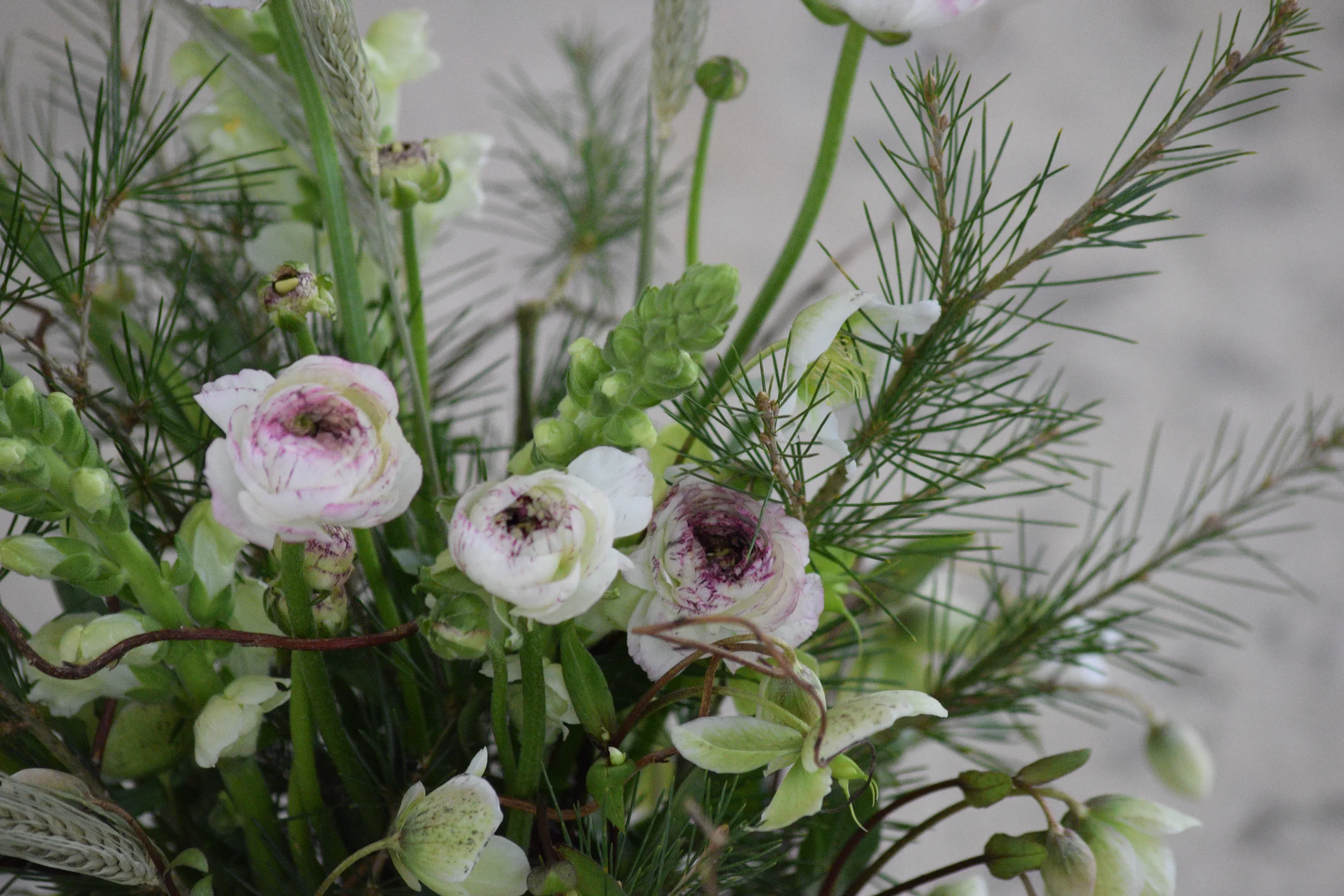 Close-up of a floral arrangement with white and pink flowers, green buds, and green pine branches.