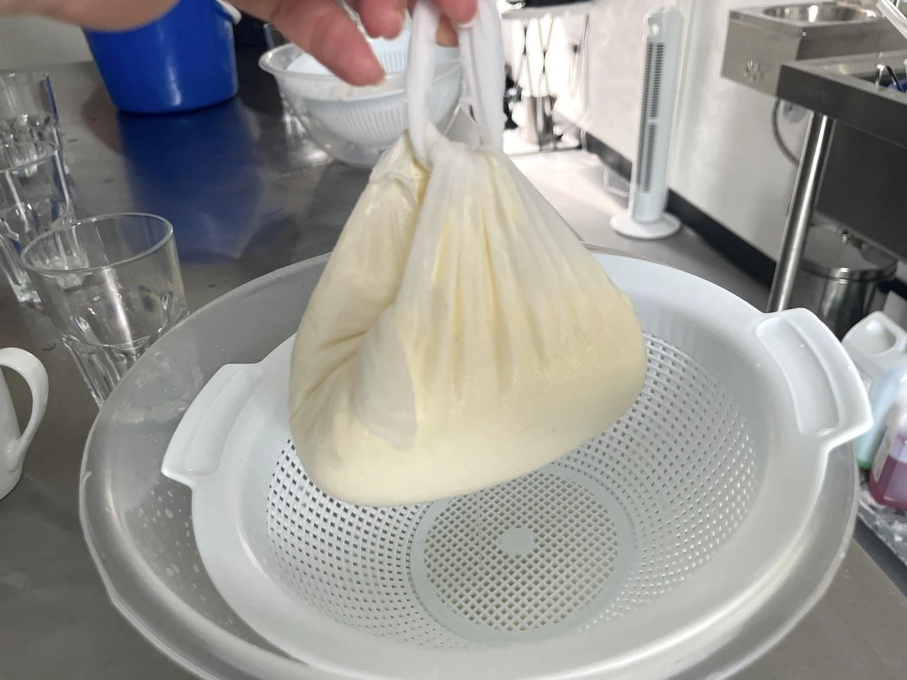 How easy is it to make cheese — Deanna Thomas