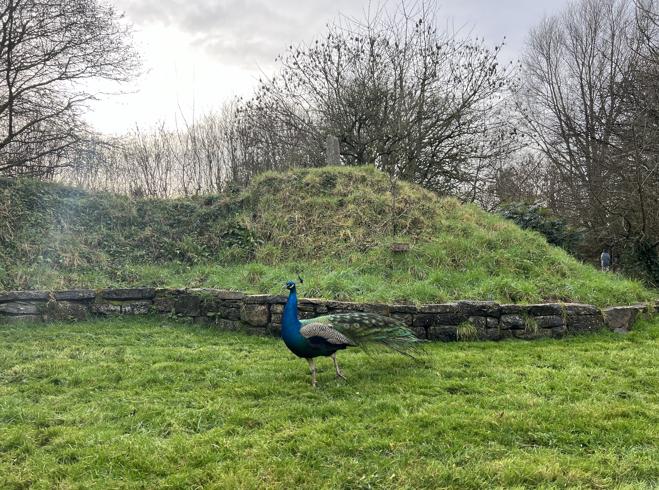 Screenshot 2026-01-07 at 7.40.18 PM.png